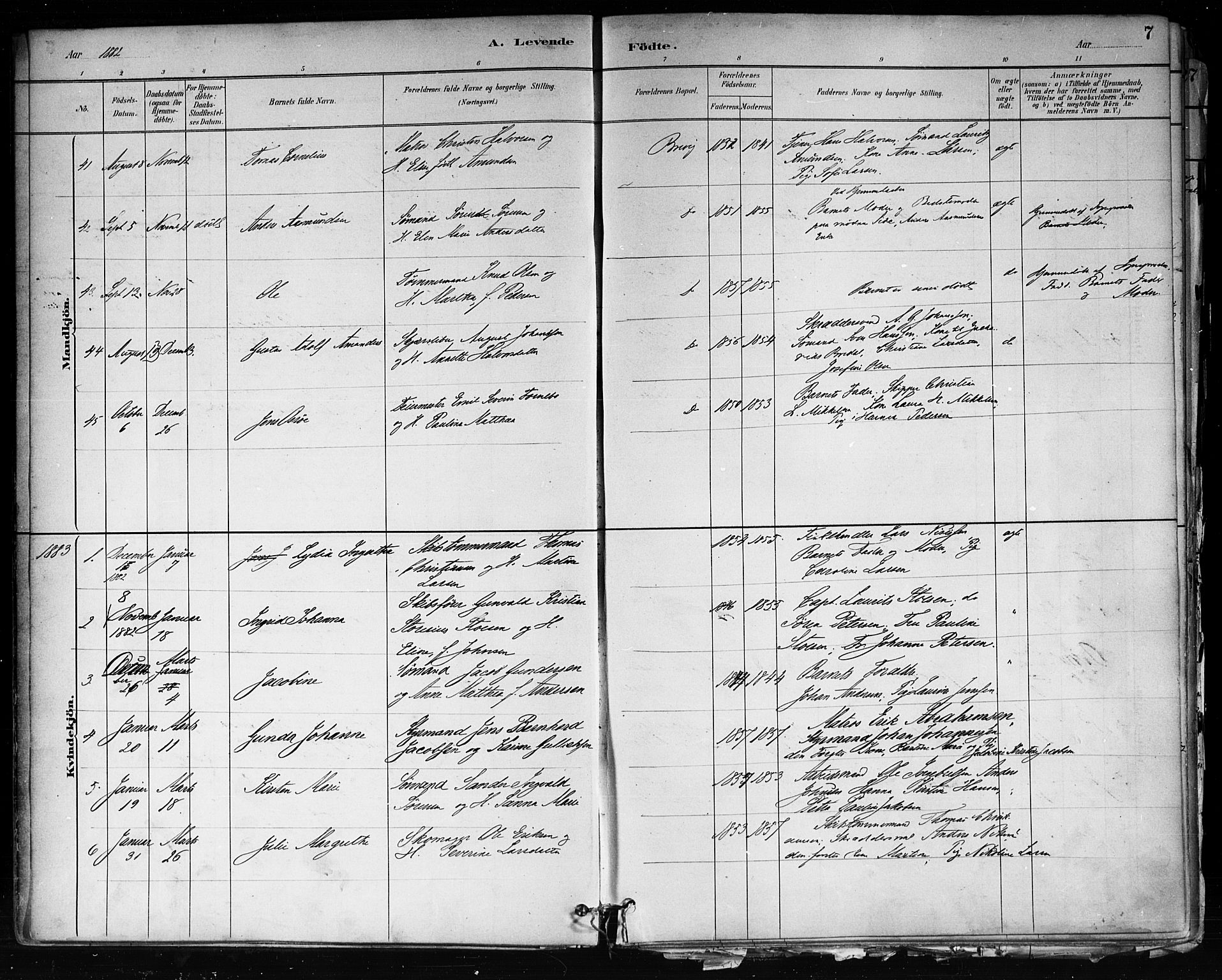 Brevik kirkebøker, SAKO/A-255/F/Fa/L0007: Parish register (official) no. 7, 1882-1900, p. 7