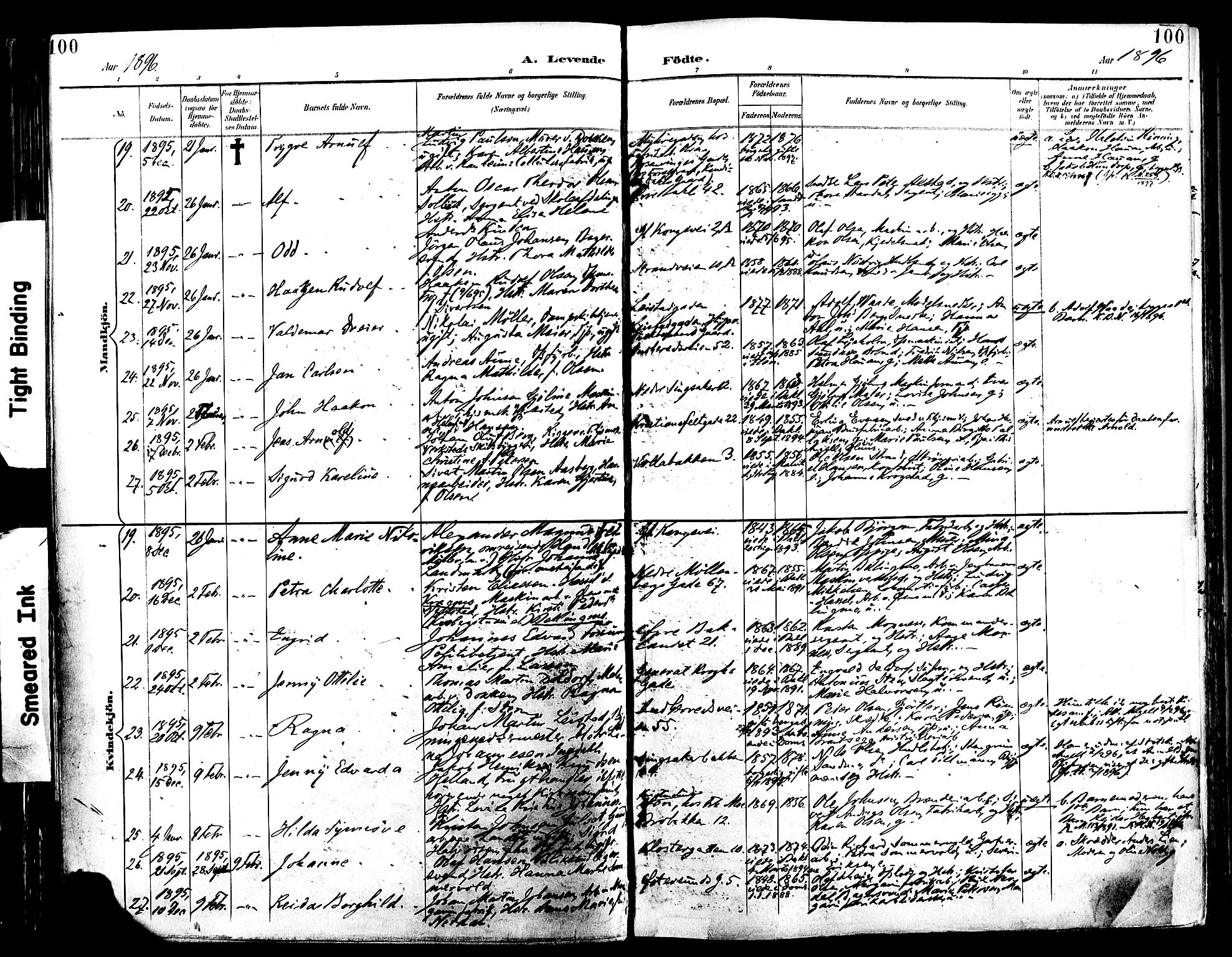 Ministerialprotokoller, klokkerbøker og fødselsregistre - Sør-Trøndelag, AV/SAT-A-1456/604/L0197: Parish register (official) no. 604A18, 1893-1900, p. 100