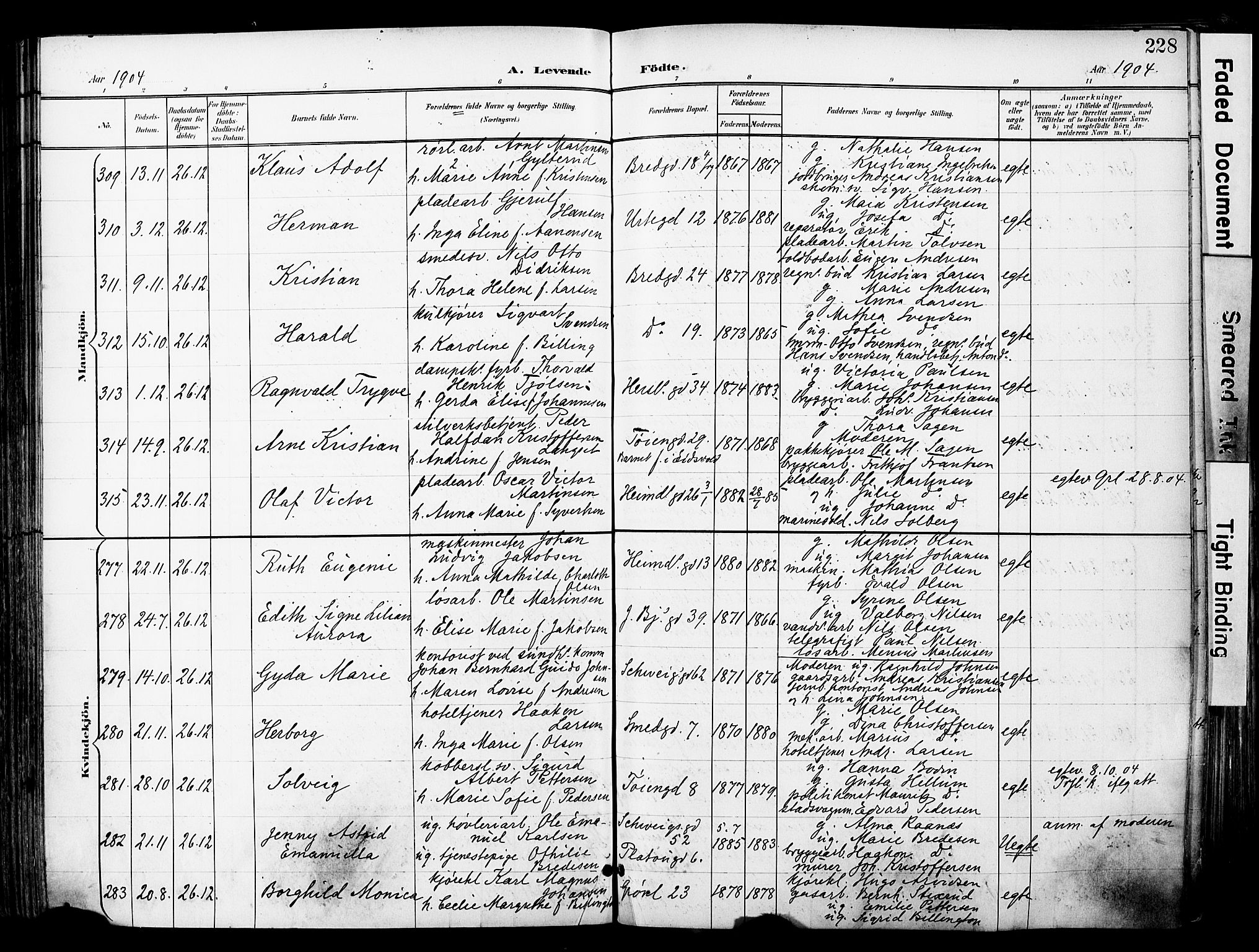 Grønland prestekontor Kirkebøker, AV/SAO-A-10848/F/Fa/L0014: Parish register (official) no. 14, 1900-1911, p. 228