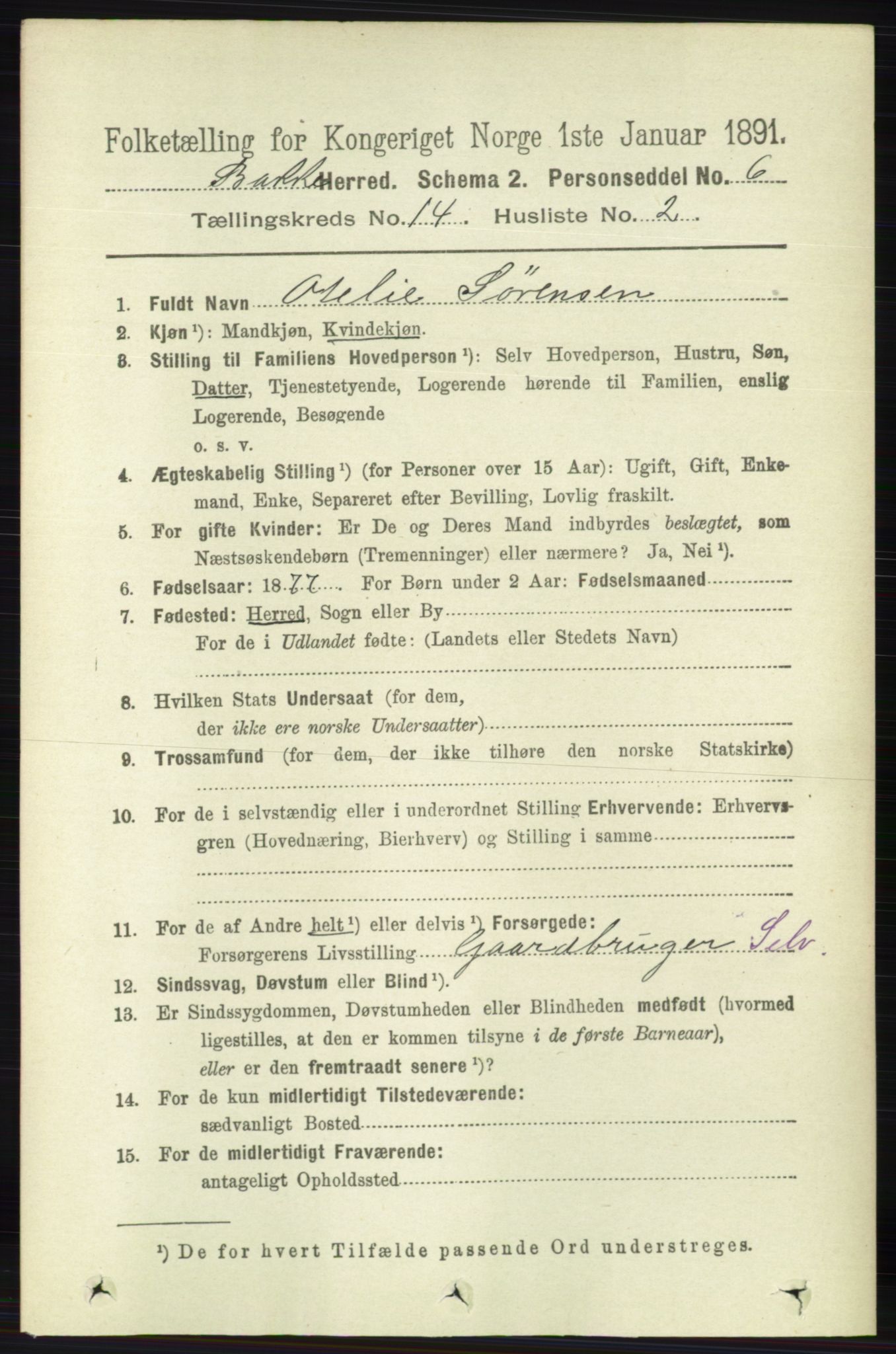 RA, 1891 census for 1045 Bakke, 1891, p. 2918