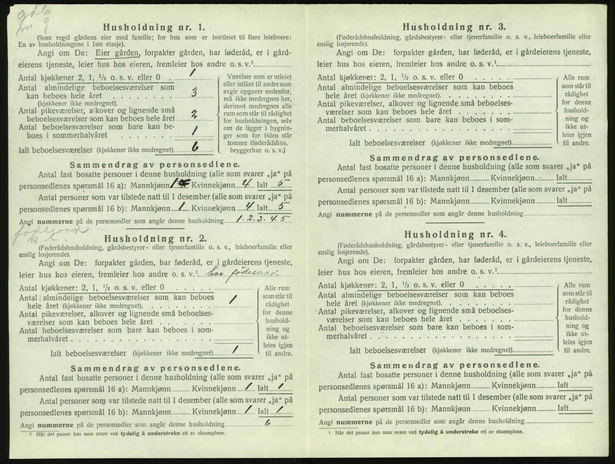 SAT, 1920 census for Volda, 1920, p. 1313