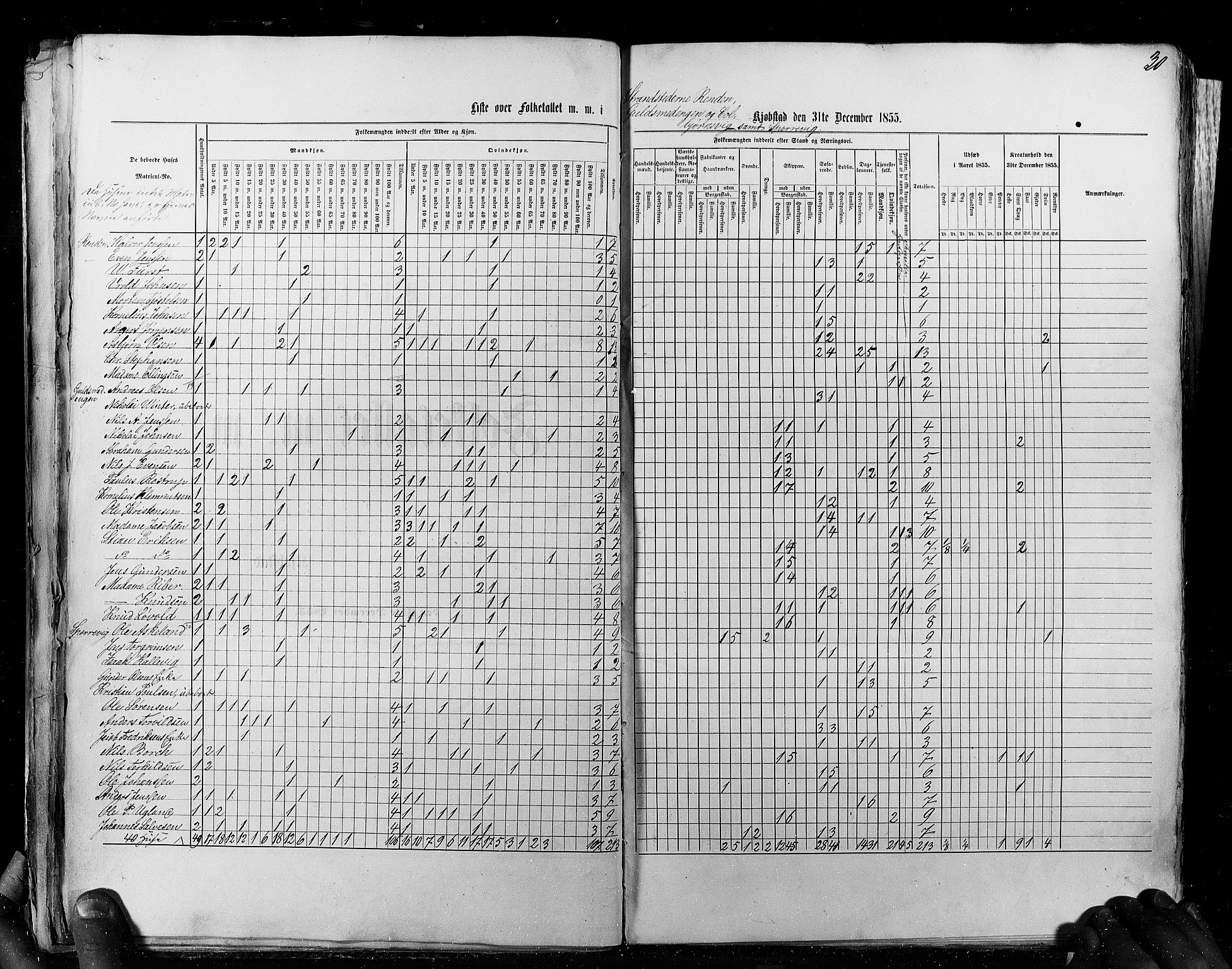 RA, Census 1855, vol. 8: Risør-Vadsø, 1855, p. 30