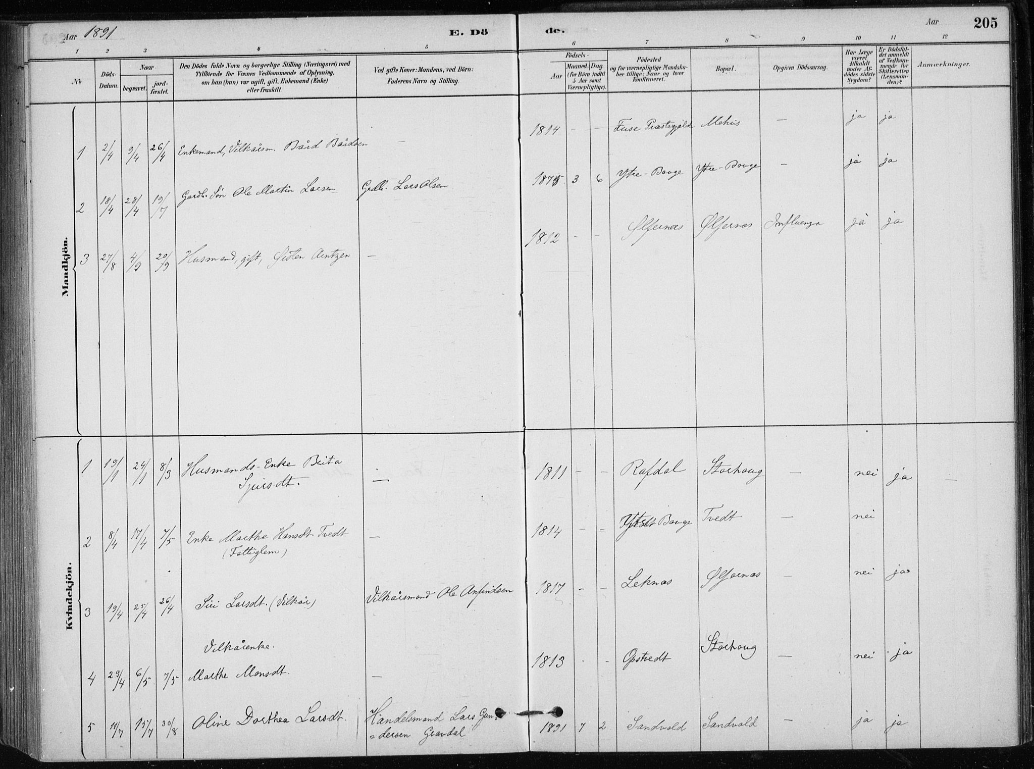 Skånevik sokneprestembete, AV/SAB-A-77801/H/Haa: Parish register (official) no. C  1, 1879-1917, p. 205