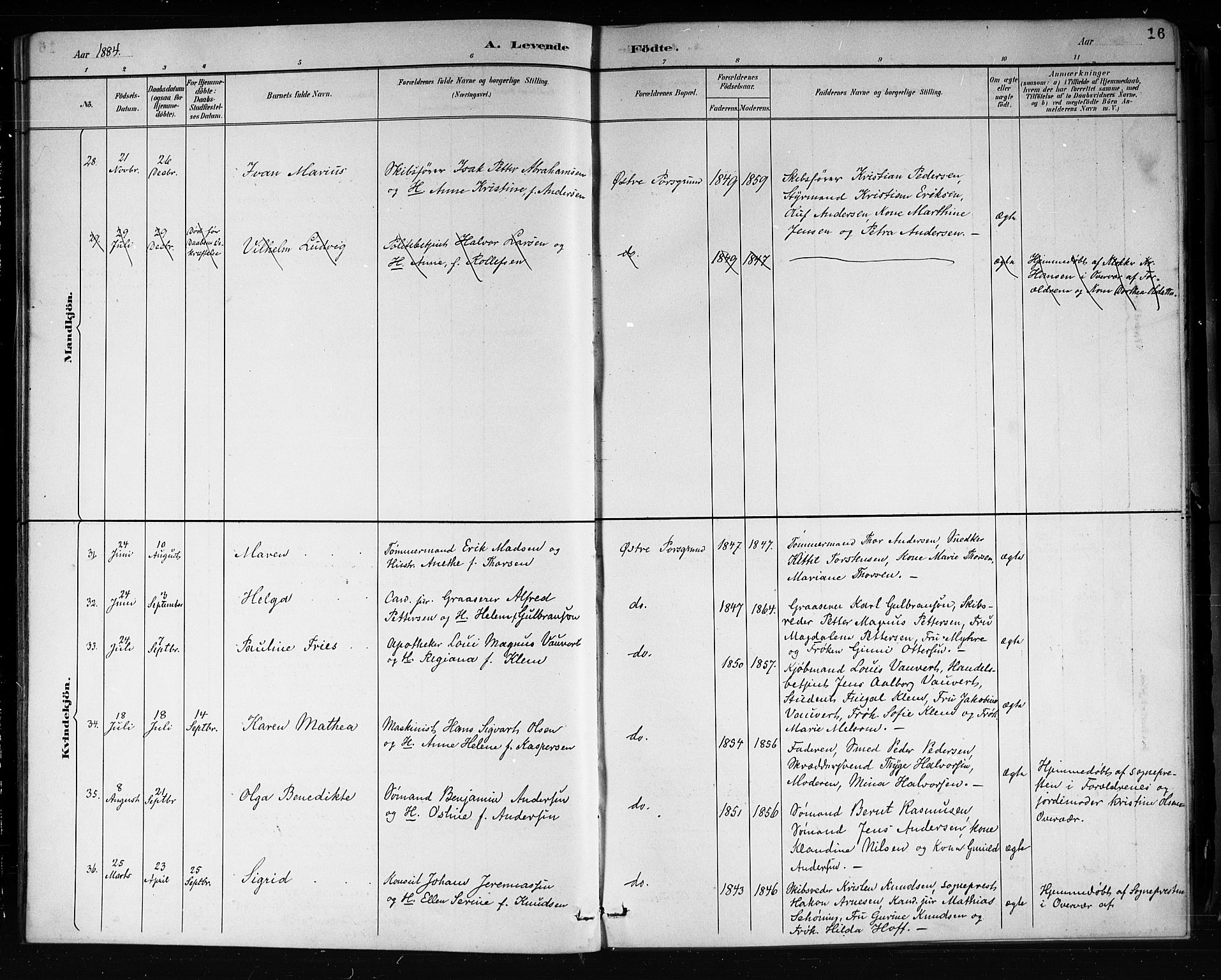 Porsgrunn kirkebøker , AV/SAKO-A-104/G/Gb/L0005: Parish register (copy) no. II 5, 1883-1915, p. 16