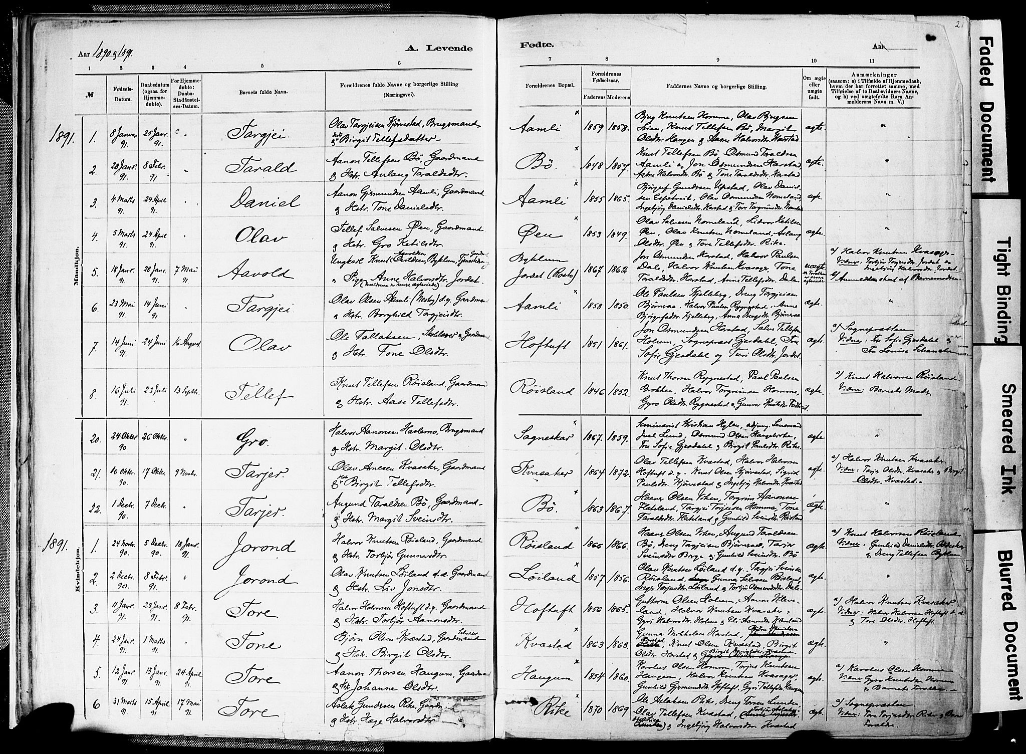 Valle sokneprestkontor, AV/SAK-1111-0044/F/Fa/Fac/L0009: Parish register (official) no. A 9, 1882-1913, p. 20