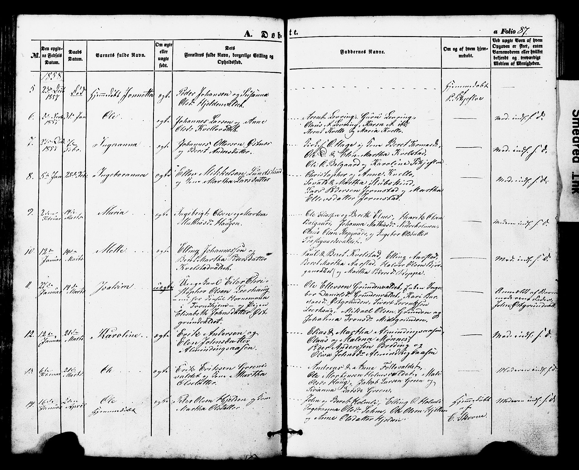 Ministerialprotokoller, klokkerbøker og fødselsregistre - Nord-Trøndelag, SAT/A-1458/724/L0268: Parish register (copy) no. 724C04, 1846-1878, p. 87