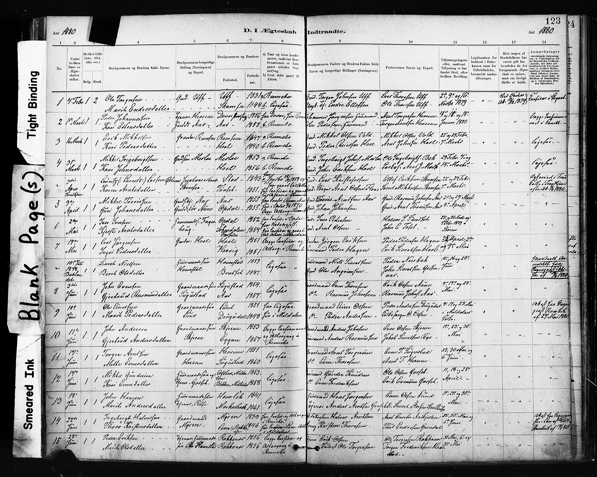 Ministerialprotokoller, klokkerbøker og fødselsregistre - Sør-Trøndelag, AV/SAT-A-1456/674/L0871: Parish register (official) no. 674A03, 1880-1896, p. 123