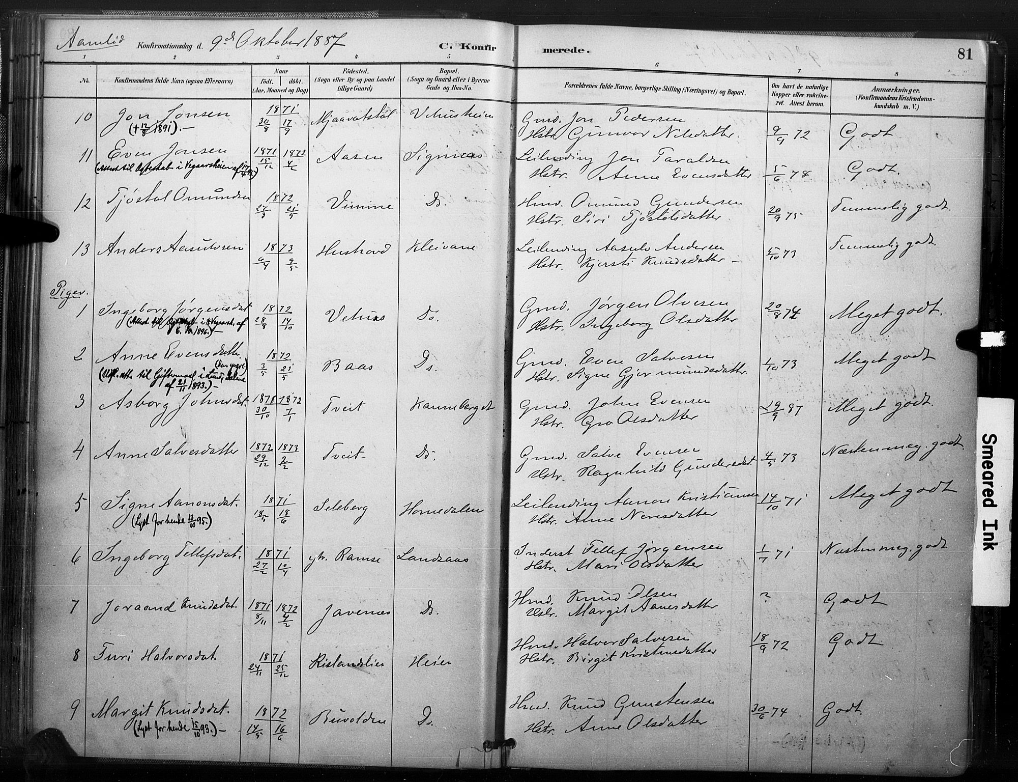 Åmli sokneprestkontor, AV/SAK-1111-0050/F/Fa/Fac/L0010: Parish register (official) no. A 10 /1, 1885-1899, p. 81