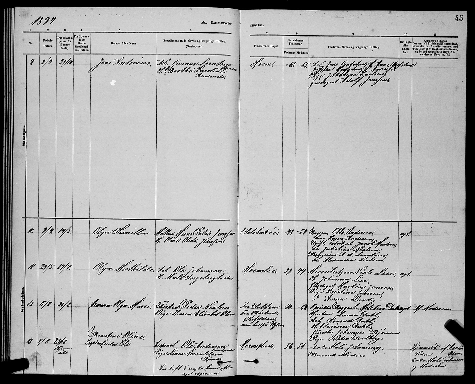 Ministerialprotokoller, klokkerbøker og fødselsregistre - Sør-Trøndelag, SAT/A-1456/611/L0354: Parish register (copy) no. 611C02, 1881-1896, p. 45