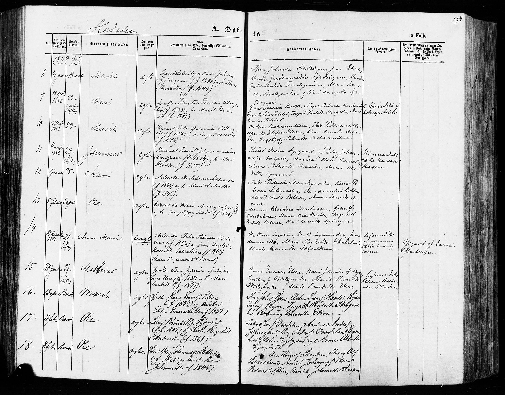 Vågå prestekontor, SAH/PREST-076/H/Ha/Haa/L0007: Parish register (official) no. 7 /2, 1873-1886, p. 194