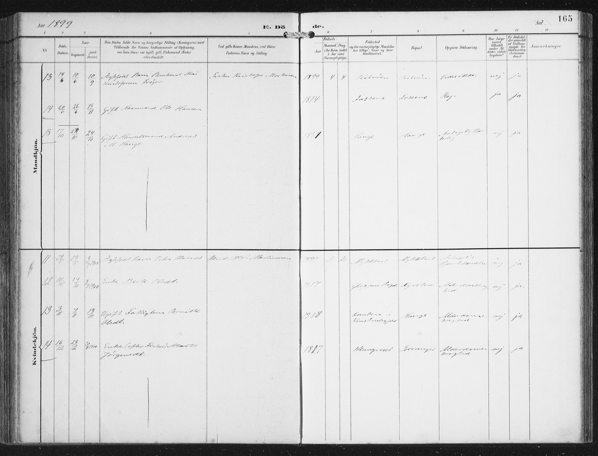 Bremanger sokneprestembete, SAB/A-82201/H/Haa/Haab/L0002: Parish register (official) no. B  2, 1896-1908, p. 165