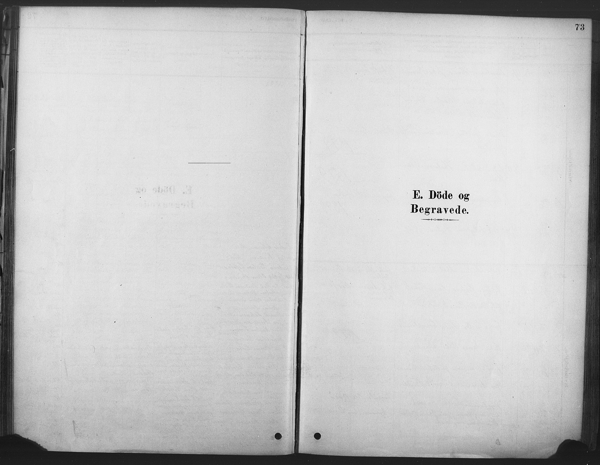 Våle kirkebøker, SAKO/A-334/F/Fb/L0002: Parish register (official) no. II 2, 1878-1907, p. 73