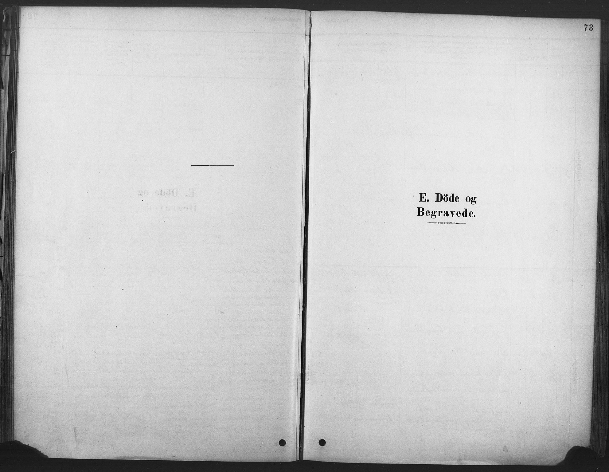 Våle kirkebøker, AV/SAKO-A-334/F/Fb/L0002: Parish register (official) no. II 2, 1878-1907, p. 73