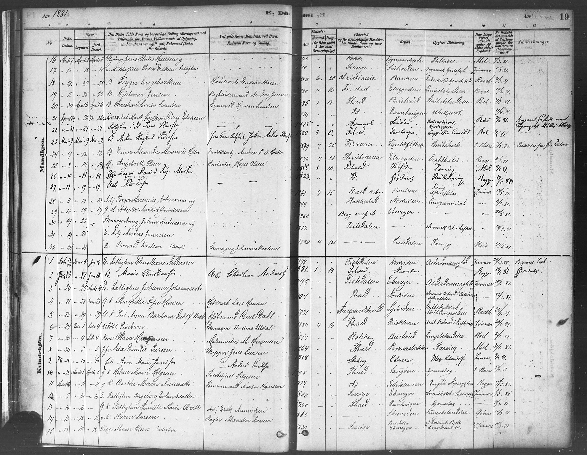 Halden prestekontor Kirkebøker, AV/SAO-A-10909/F/Fa/L0012: Parish register (official) no. I 12, 1878-1889, p. 19