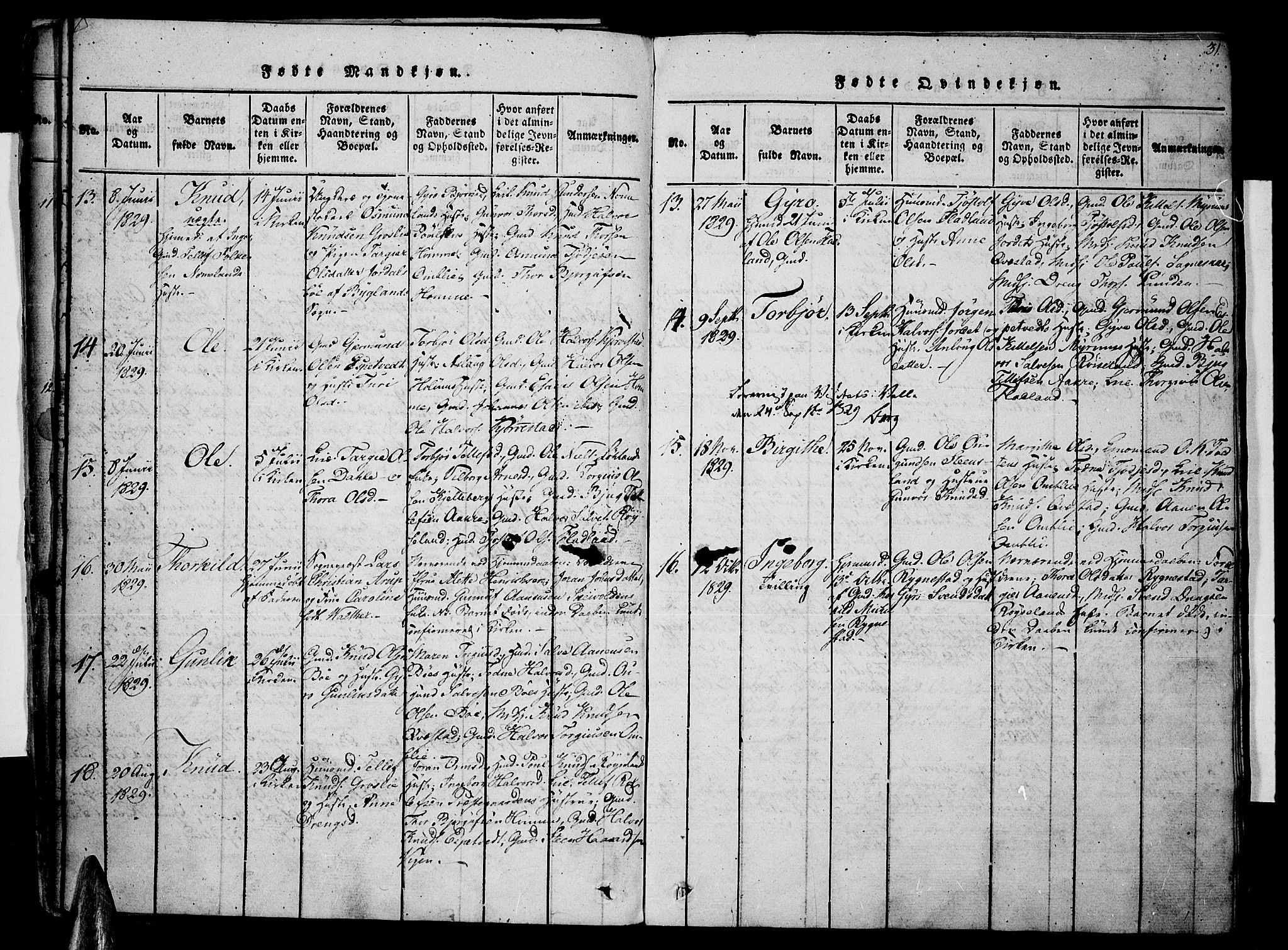 Valle sokneprestkontor, SAK/1111-0044/F/Fa/Fac/L0005: Parish register (official) no. A 5 /1, 1816-1831, p. 31