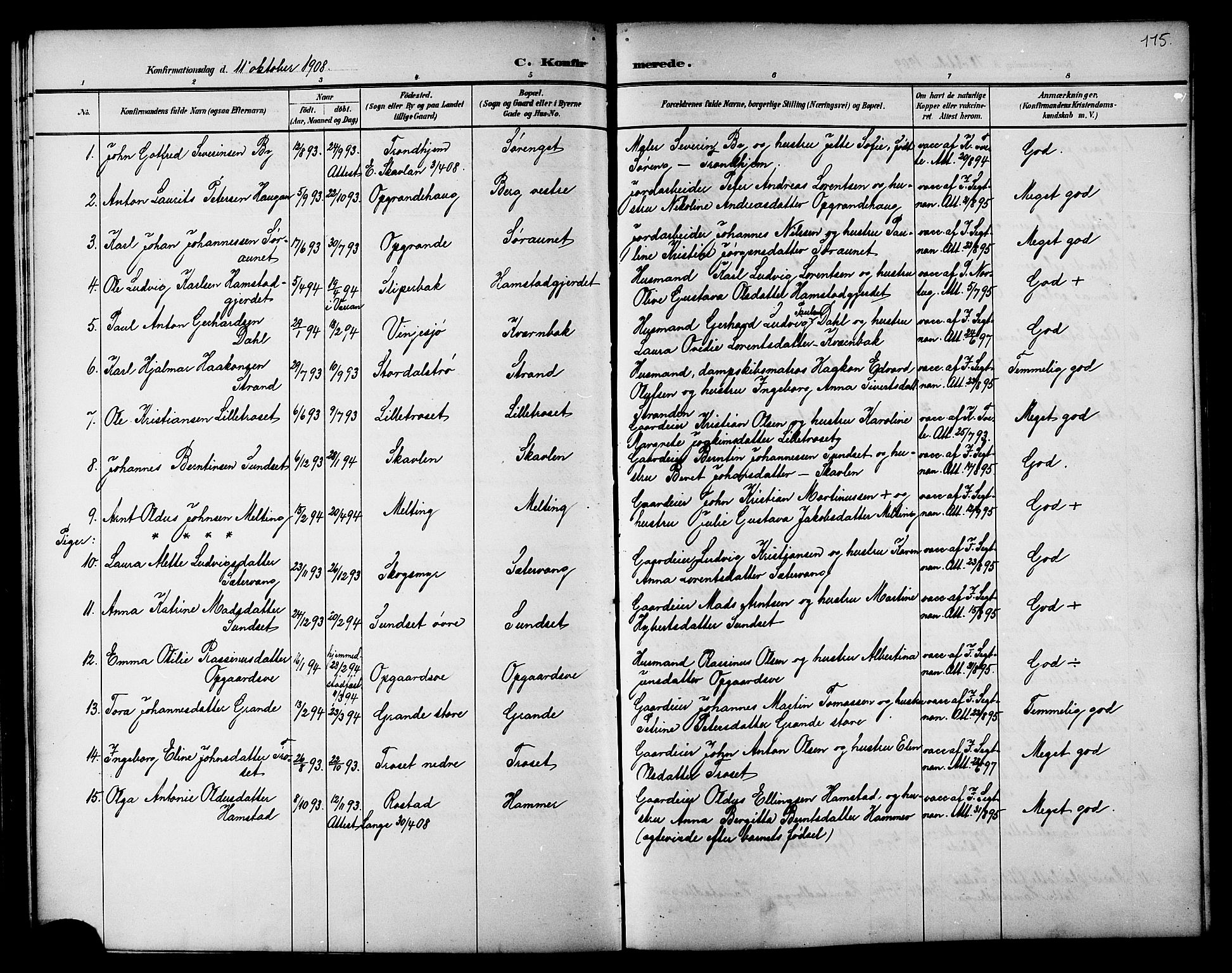 Ministerialprotokoller, klokkerbøker og fødselsregistre - Nord-Trøndelag, AV/SAT-A-1458/733/L0327: Parish register (copy) no. 733C02, 1888-1918, p. 115