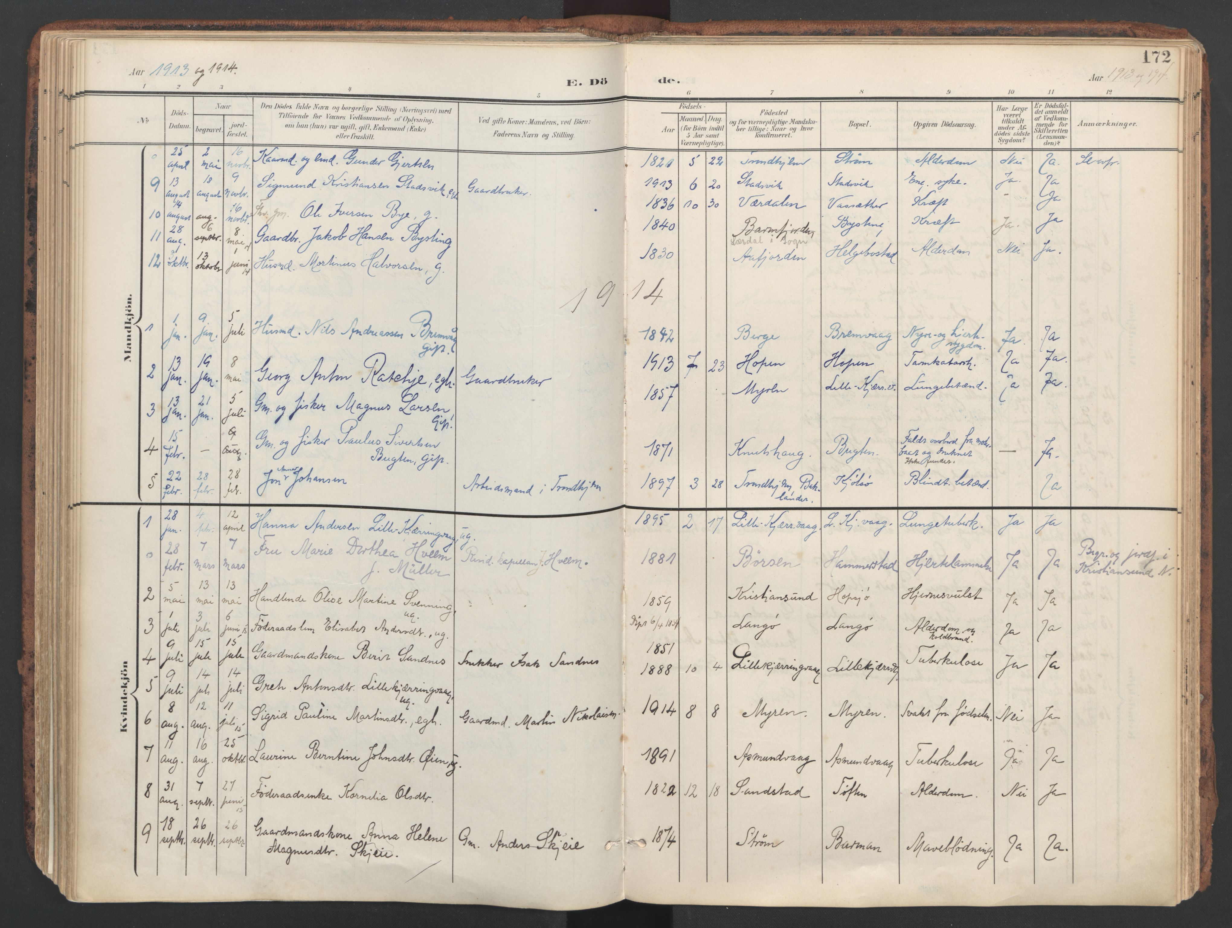 Ministerialprotokoller, klokkerbøker og fødselsregistre - Sør-Trøndelag, SAT/A-1456/634/L0537: Parish register (official) no. 634A13, 1896-1922, p. 172