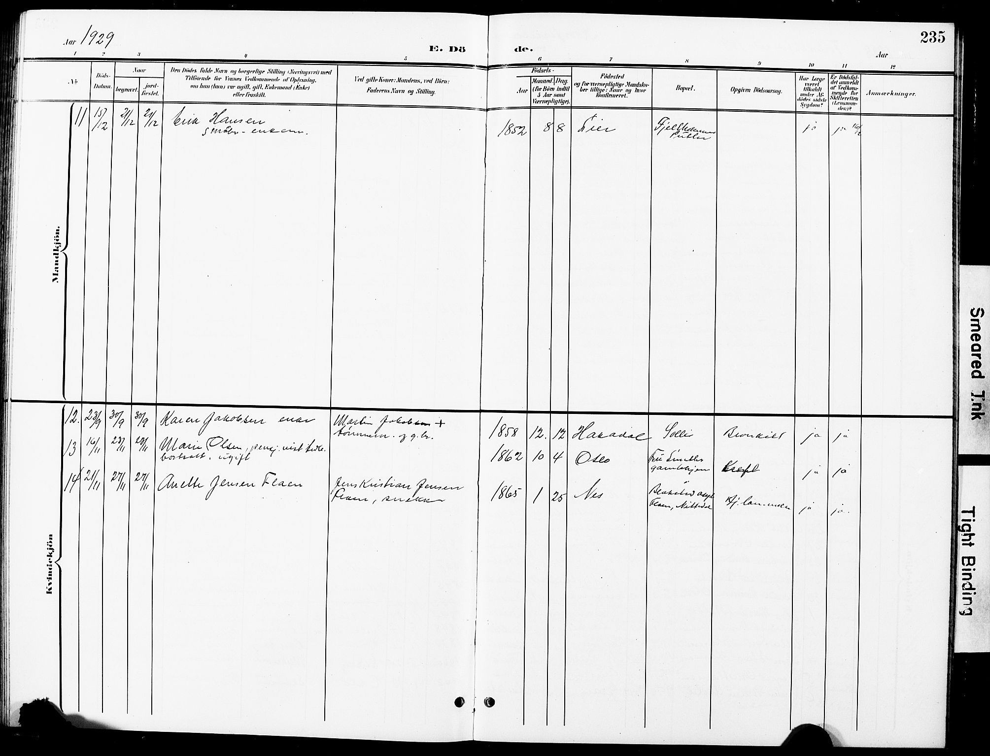 Nittedal prestekontor Kirkebøker, AV/SAO-A-10365a/G/Ga/L0003: Parish register (copy) no. I 3, 1902-1929, p. 235