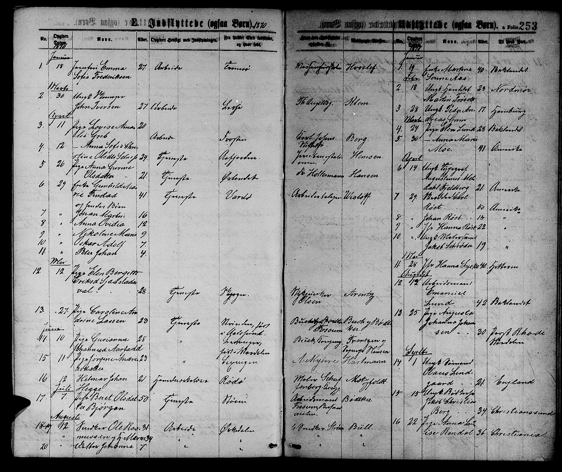 Ministerialprotokoller, klokkerbøker og fødselsregistre - Sør-Trøndelag, SAT/A-1456/601/L0088: Parish register (copy) no. 601C06, 1870-1878, p. 253