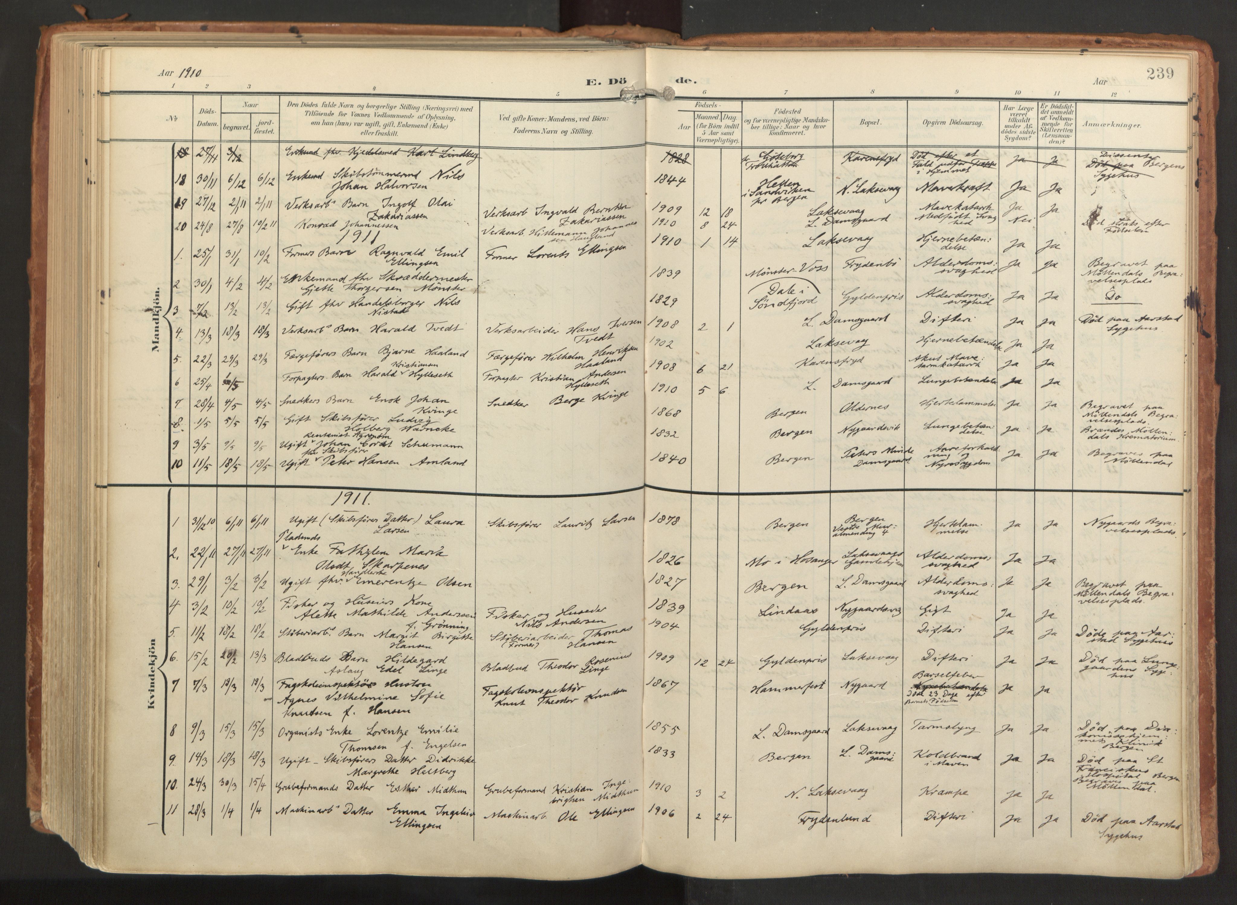 Laksevåg Sokneprestembete, AV/SAB-A-76501/H/Ha/Haa/Haaa/L0001: Parish register (official) no. A 1, 1903-1917, p. 239