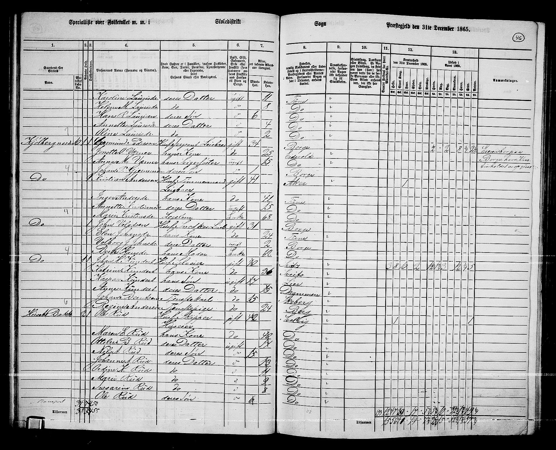 RA, 1865 census for Borge, 1865, p. 44