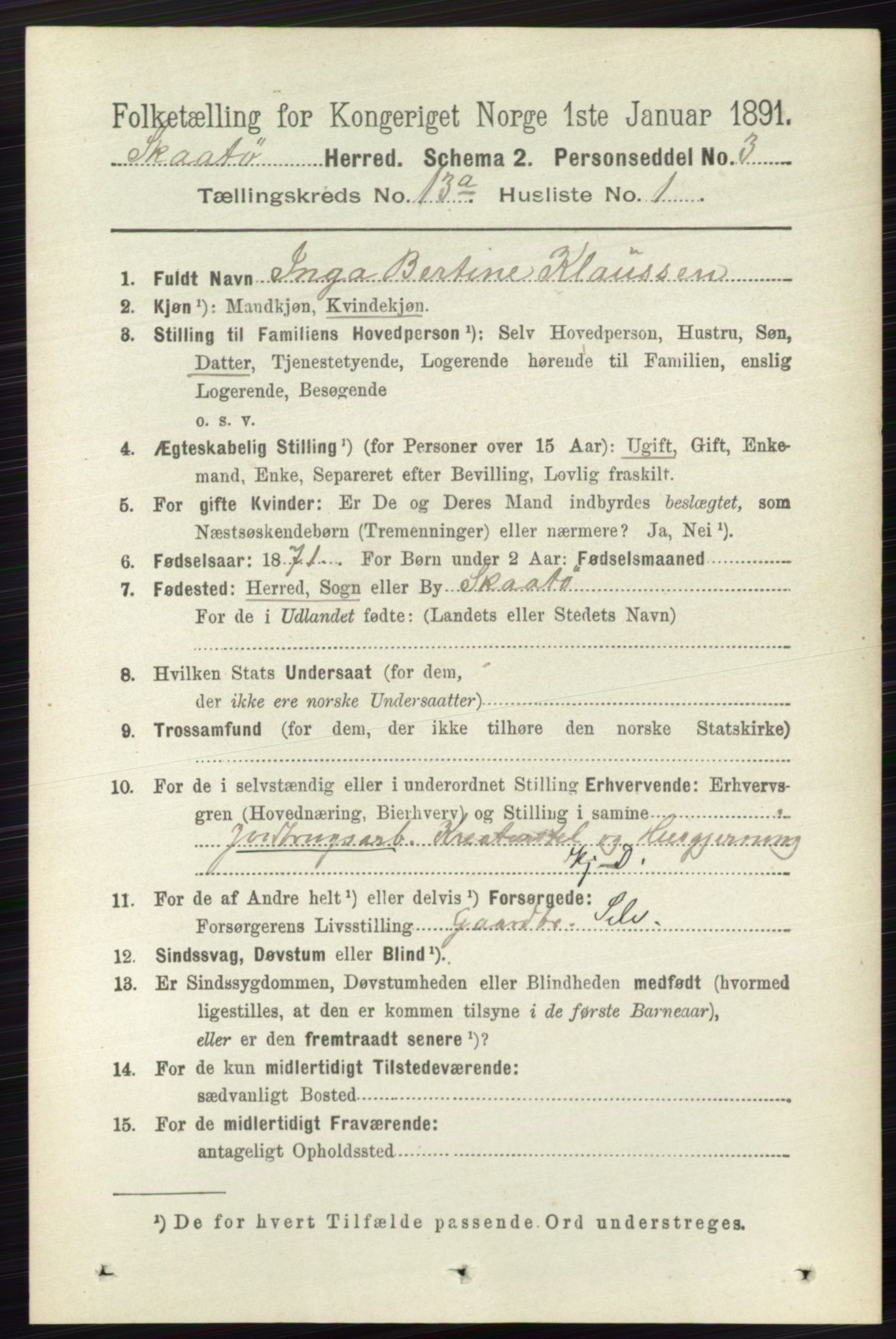 RA, 1891 census for 0815 Skåtøy, 1891, p. 4455