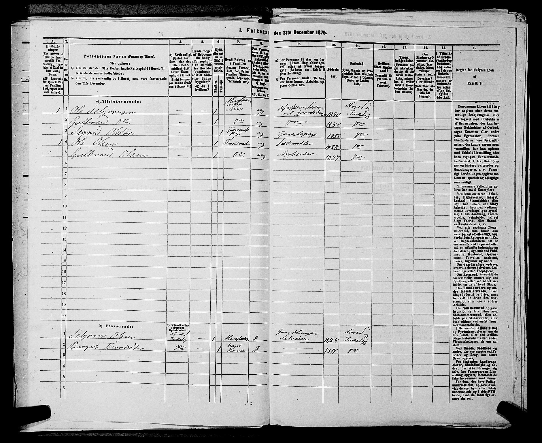 SAKO, 1875 census for 0633P Nore, 1875, p. 934