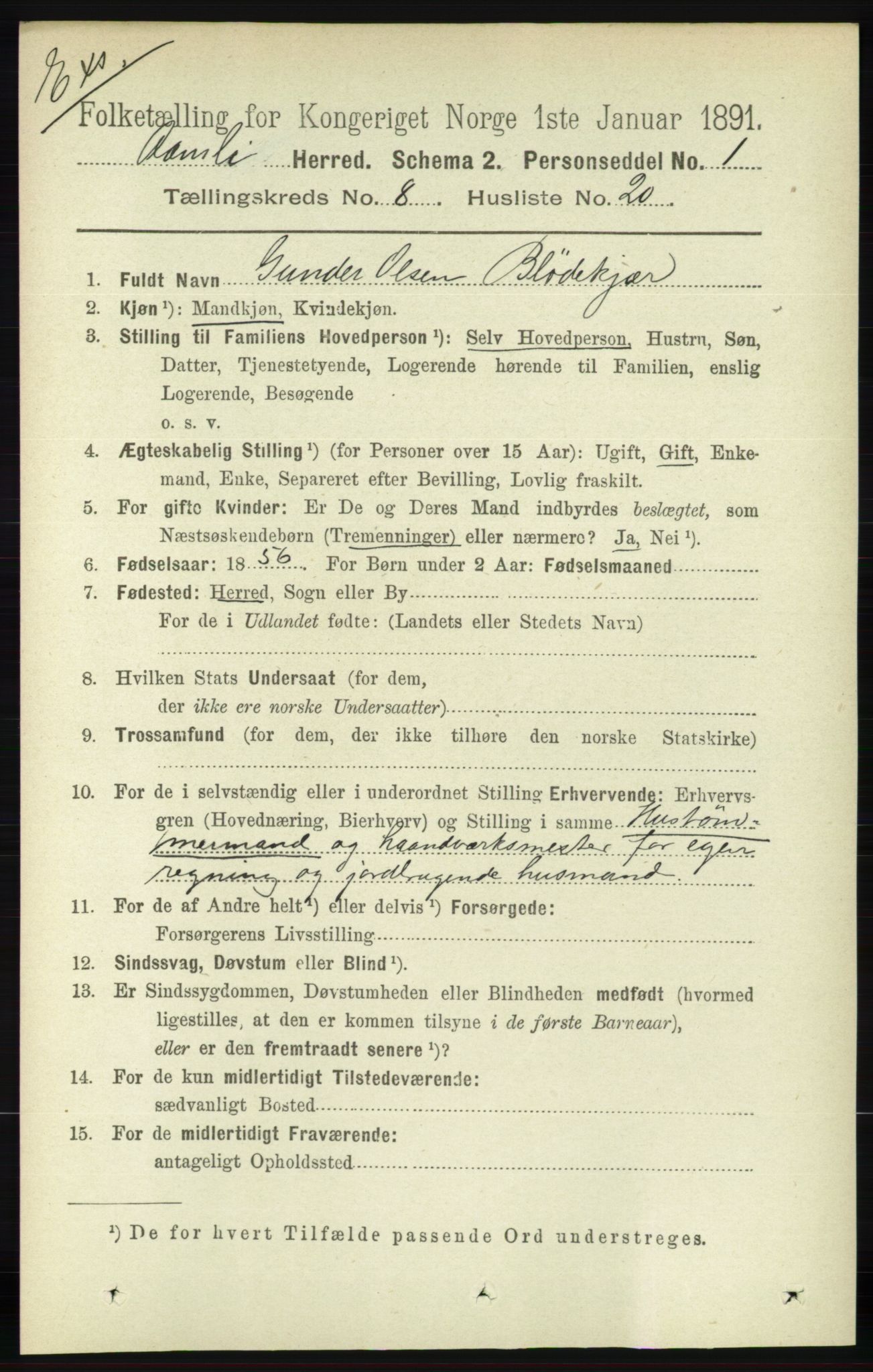 RA, Census 1891 for Nedenes amt: Gjenparter av personsedler for beslektede ektefeller, menn, 1891, p. 361