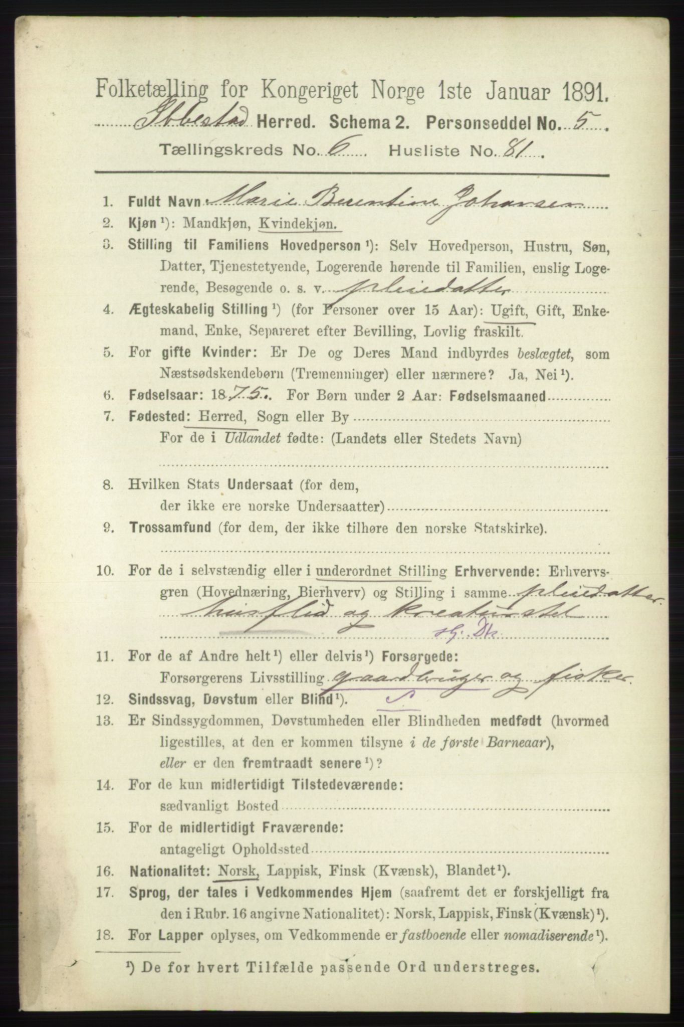 RA, 1891 census for 1917 Ibestad, 1891, p. 4038