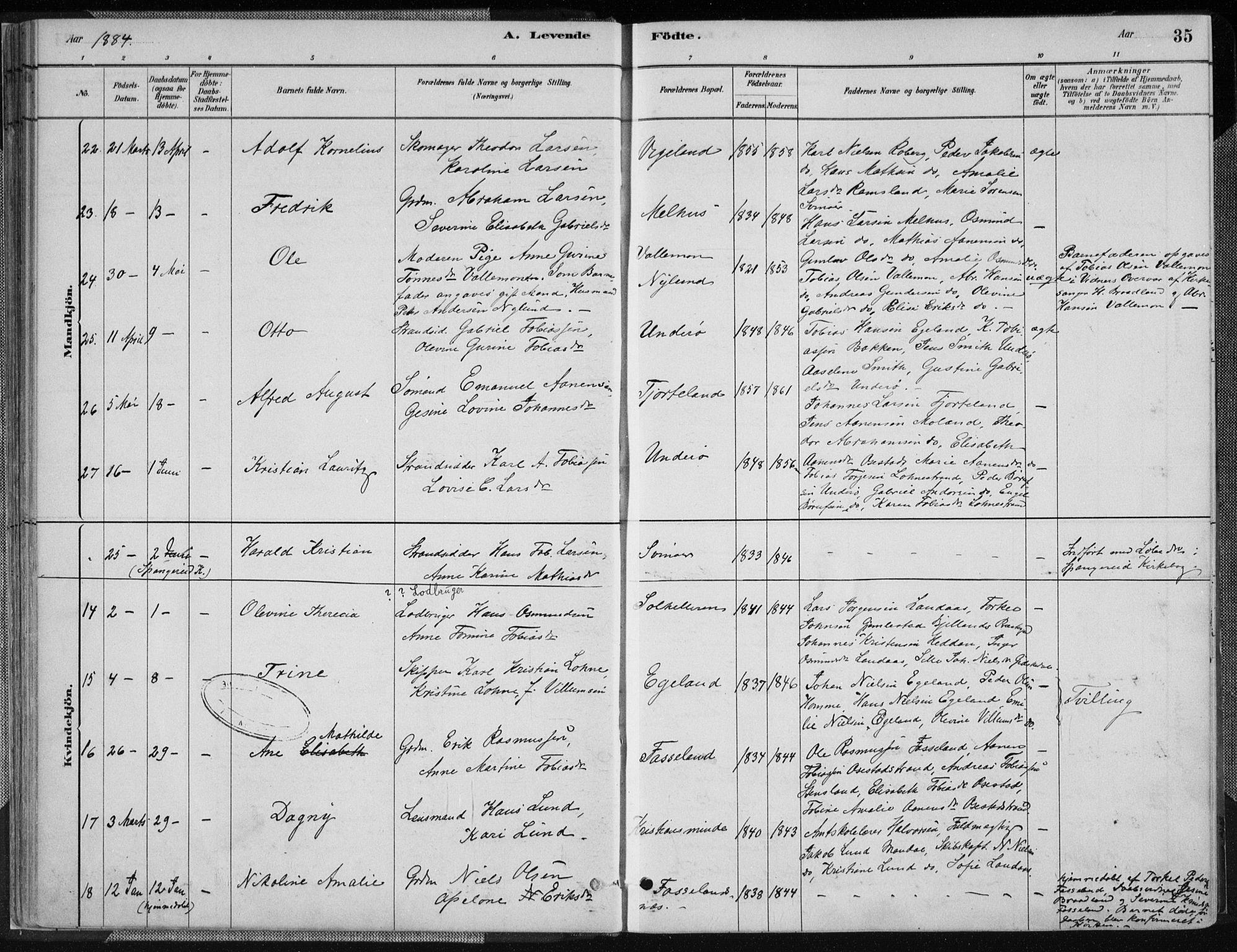 Sør-Audnedal sokneprestkontor, AV/SAK-1111-0039/F/Fa/Fab/L0009: Parish register (official) no. A 9, 1880-1895, p. 35