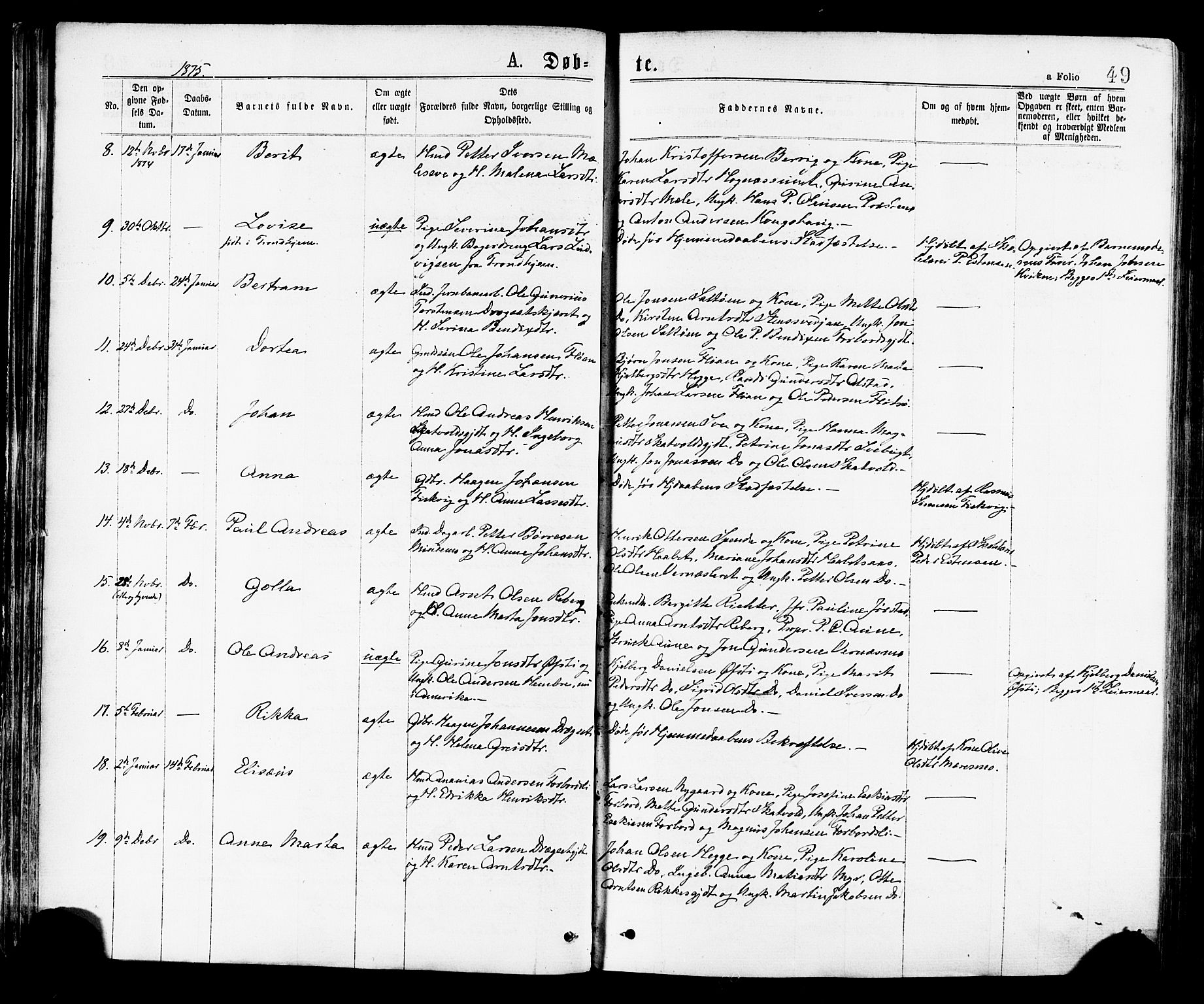 Ministerialprotokoller, klokkerbøker og fødselsregistre - Nord-Trøndelag, AV/SAT-A-1458/709/L0076: Parish register (official) no. 709A16, 1871-1879, p. 49