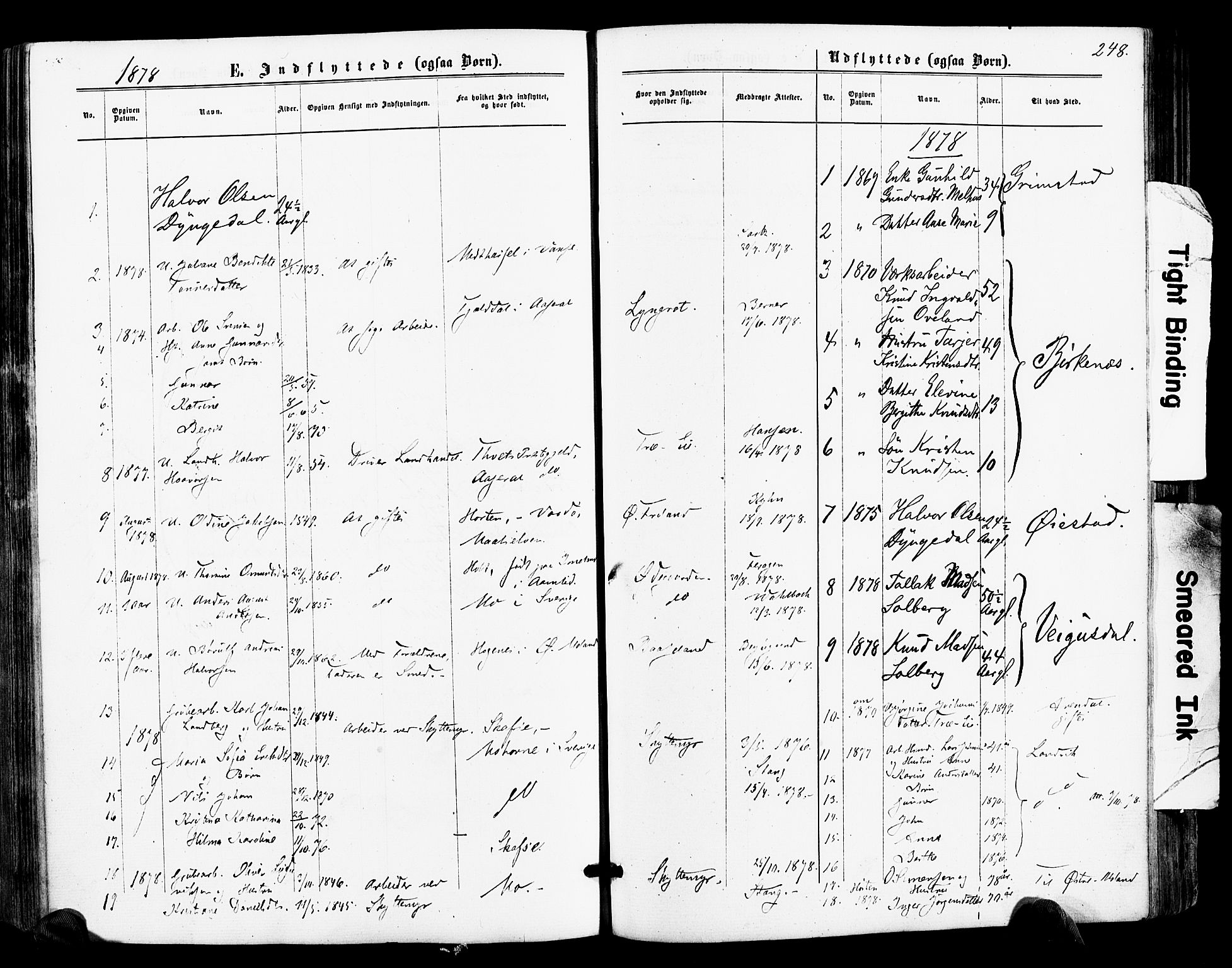 Froland sokneprestkontor, AV/SAK-1111-0013/F/Fa/L0003: Parish register (official) no. A 3, 1864-1881, p. 248