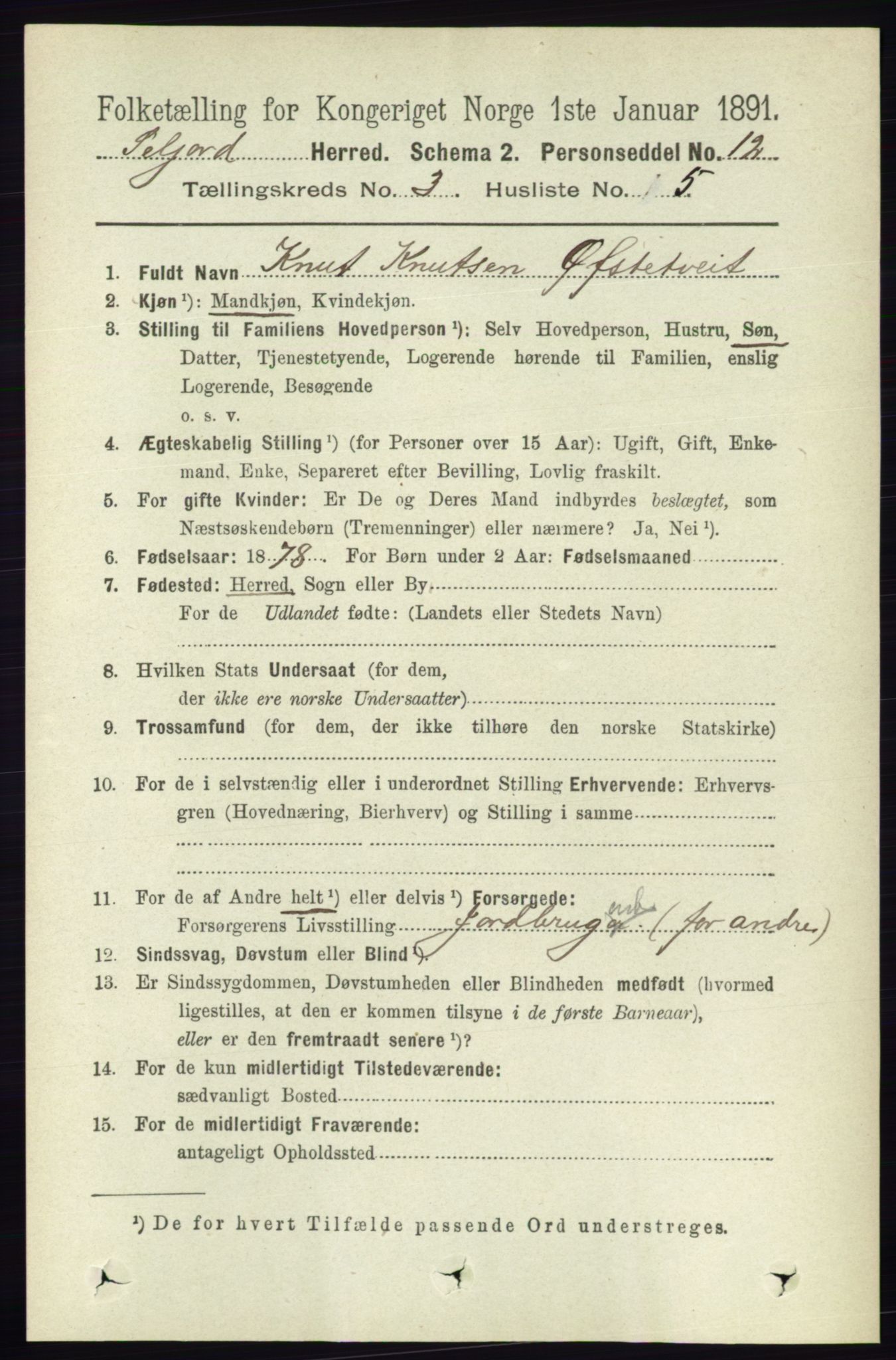 RA, 1891 census for 0828 Seljord, 1891, p. 1009