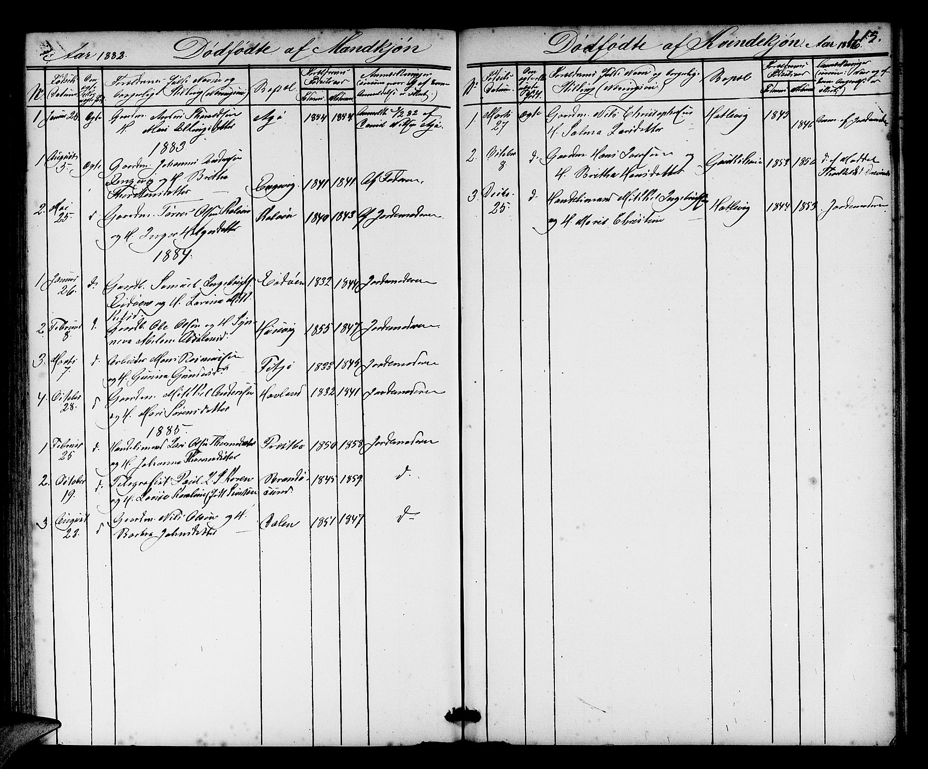 Fitjar sokneprestembete, SAB/A-99926: Parish register (copy) no. A 1, 1864-1886, p. 215