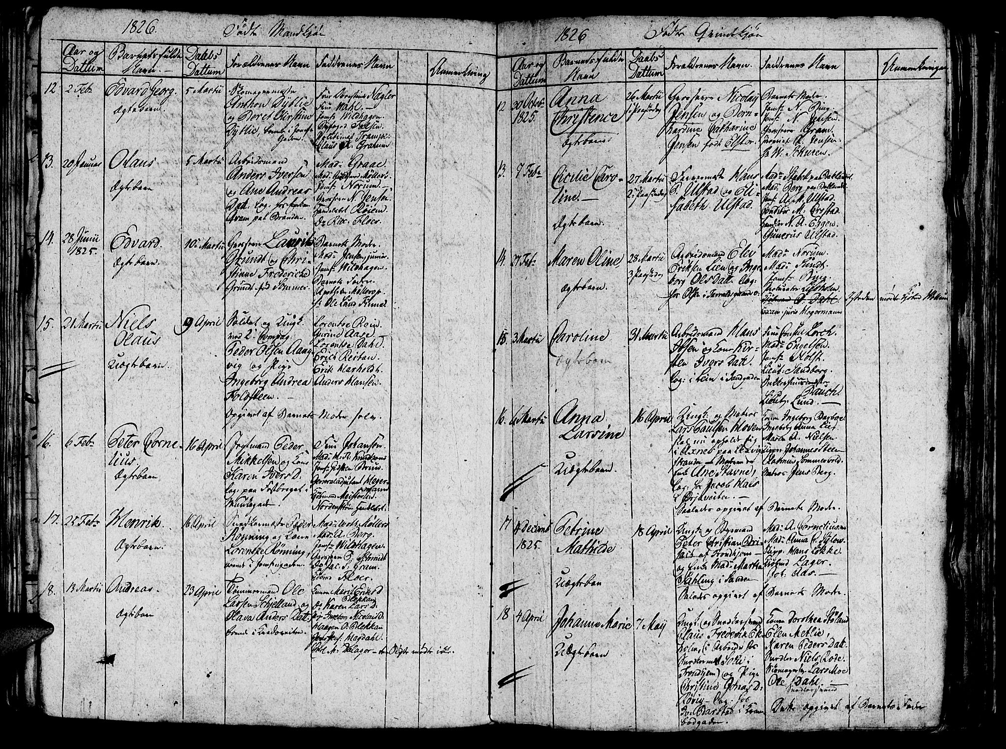 Ministerialprotokoller, klokkerbøker og fødselsregistre - Sør-Trøndelag, AV/SAT-A-1456/602/L0135: Parish register (copy) no. 602C03, 1815-1832