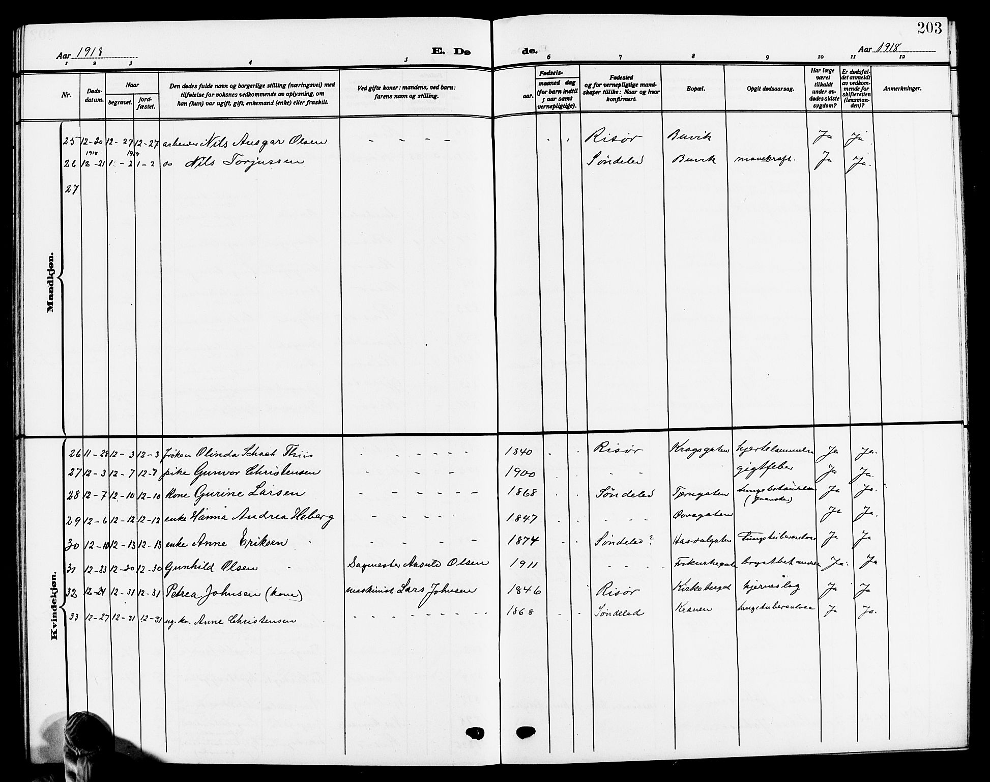 Risør sokneprestkontor, SAK/1111-0035/F/Fb/L0008: Parish register (copy) no. B 8, 1909-1921, p. 203