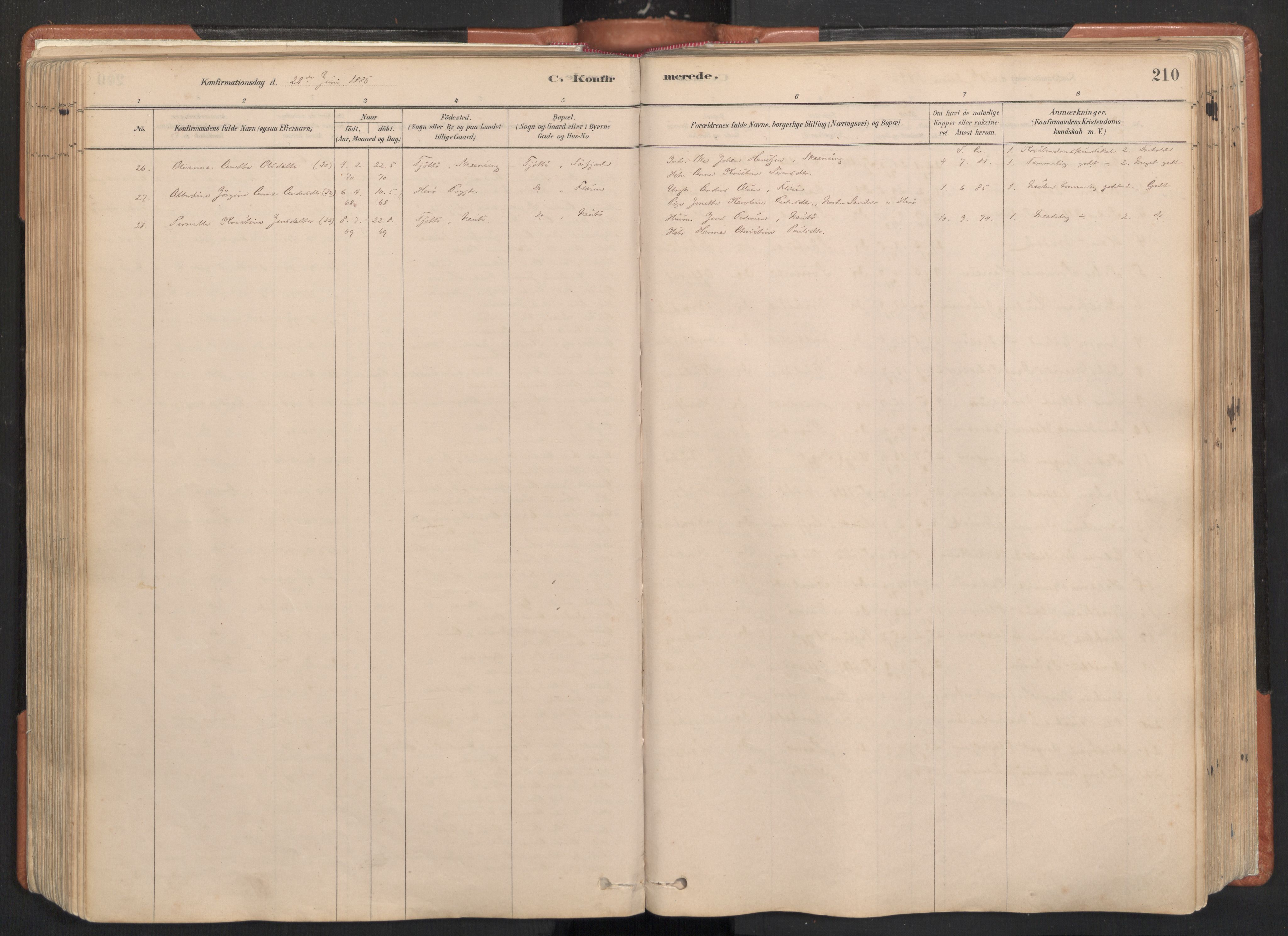 Ministerialprotokoller, klokkerbøker og fødselsregistre - Nordland, AV/SAT-A-1459/817/L0264: Parish register (official) no. 817A04, 1878-1907, p. 210