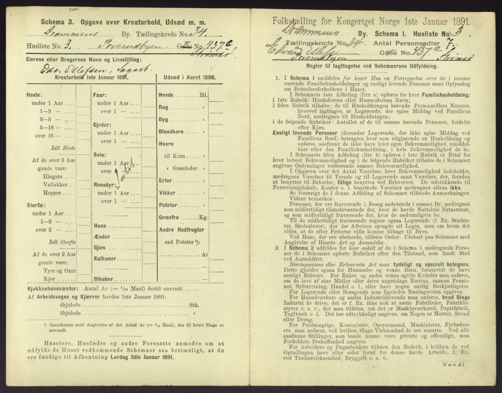 RA, 1891 census for 0602 Drammen, 1891, p. 2999