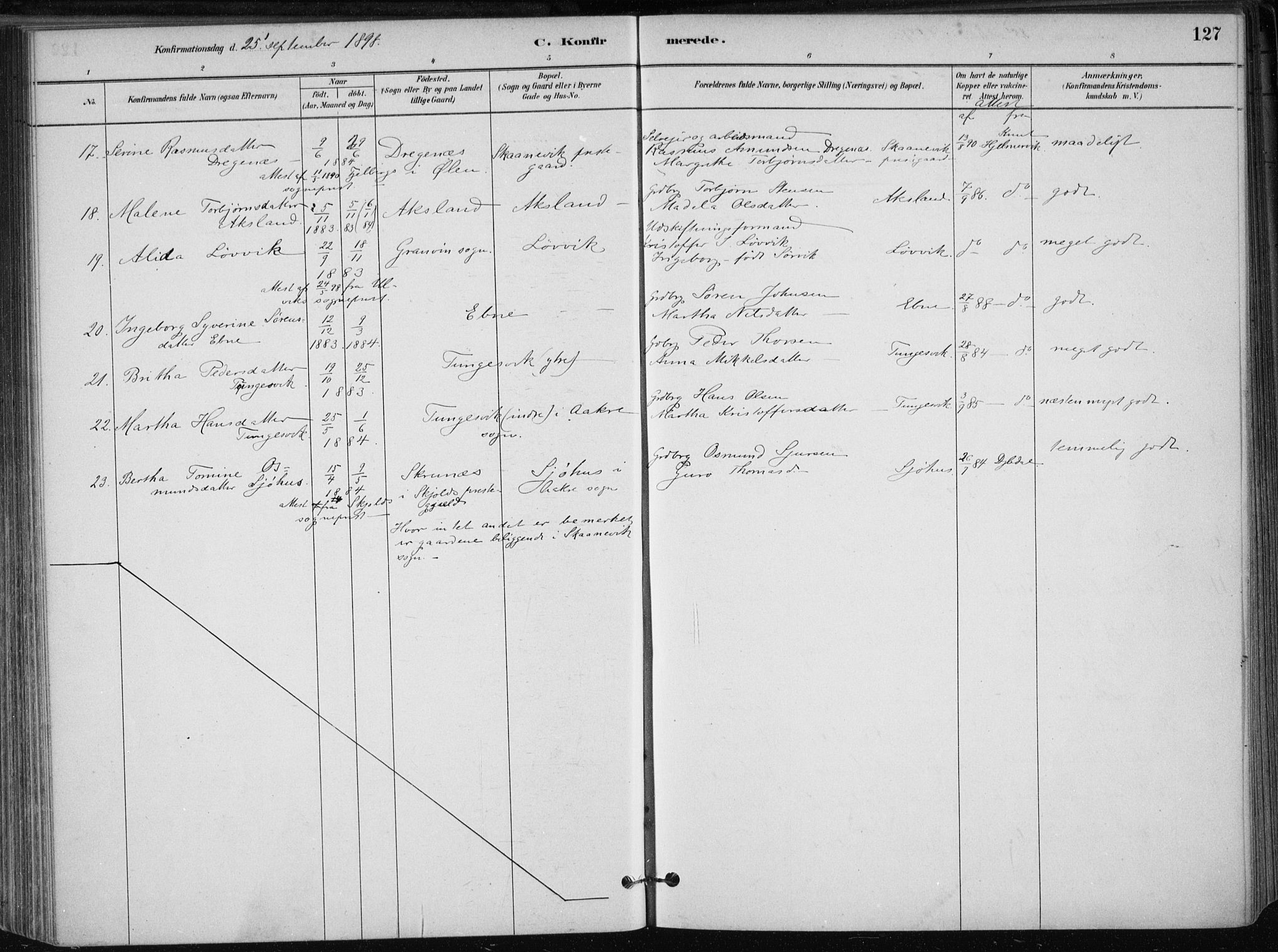 Skånevik sokneprestembete, AV/SAB-A-77801/H/Haa: Parish register (official) no. B 1, 1879-1914, p. 127