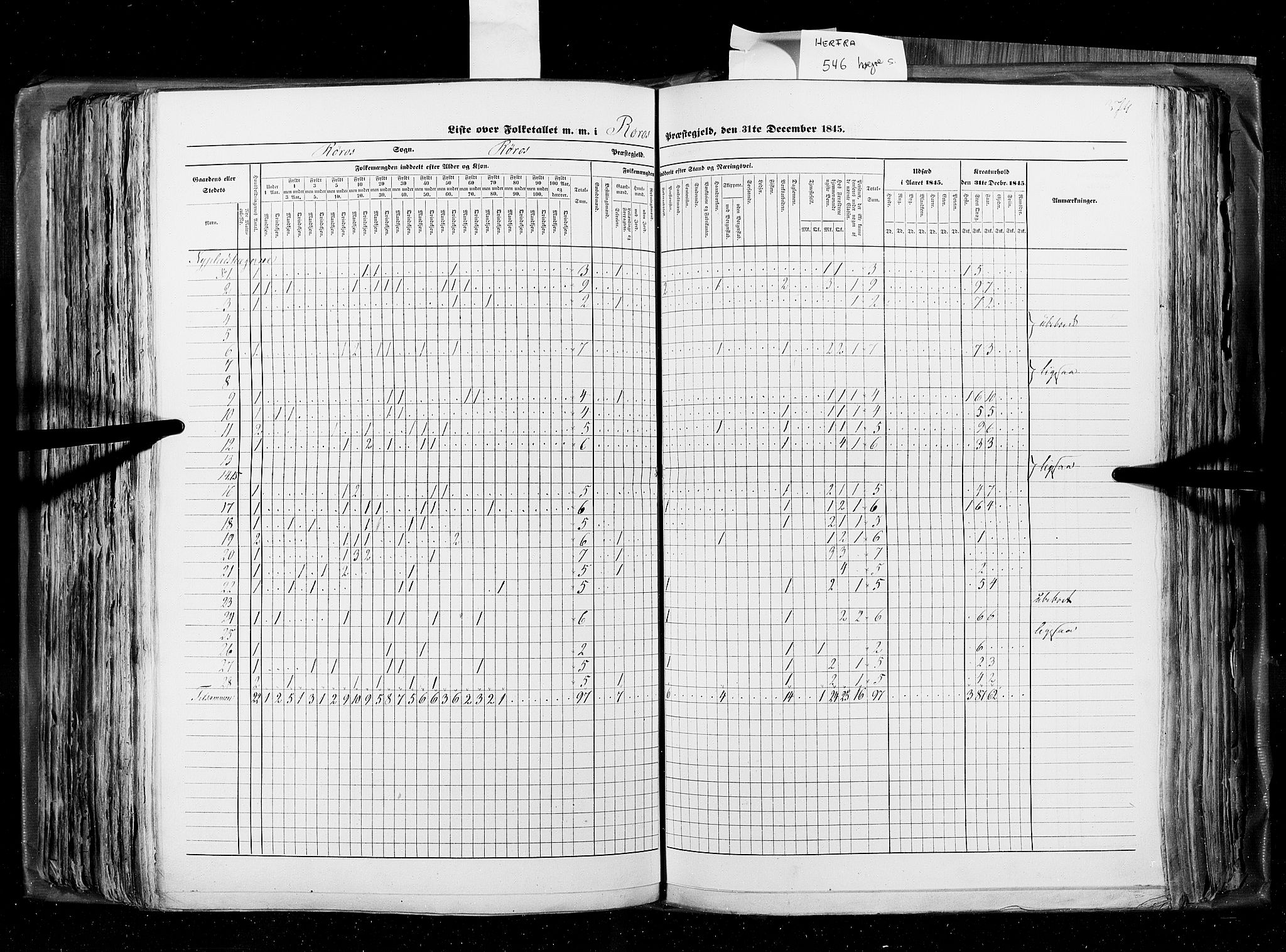 RA, Census 1845, vol. 8: Romsdal amt og Søndre Trondhjems amt, 1845, p. 374