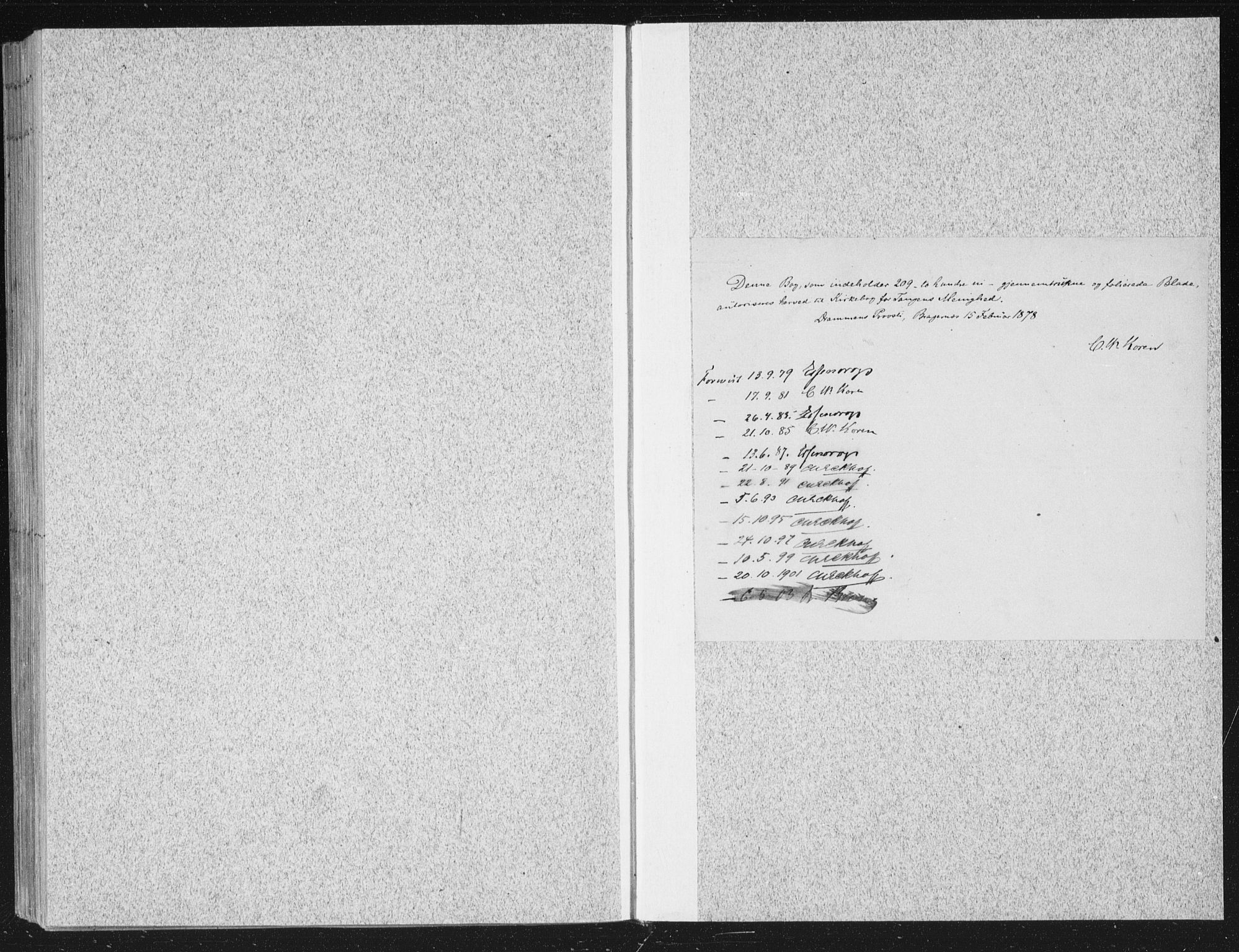 Strømsø kirkebøker, SAKO/A-246/F/Fb/L0005: Parish register (official) no. II 5, 1877-1902