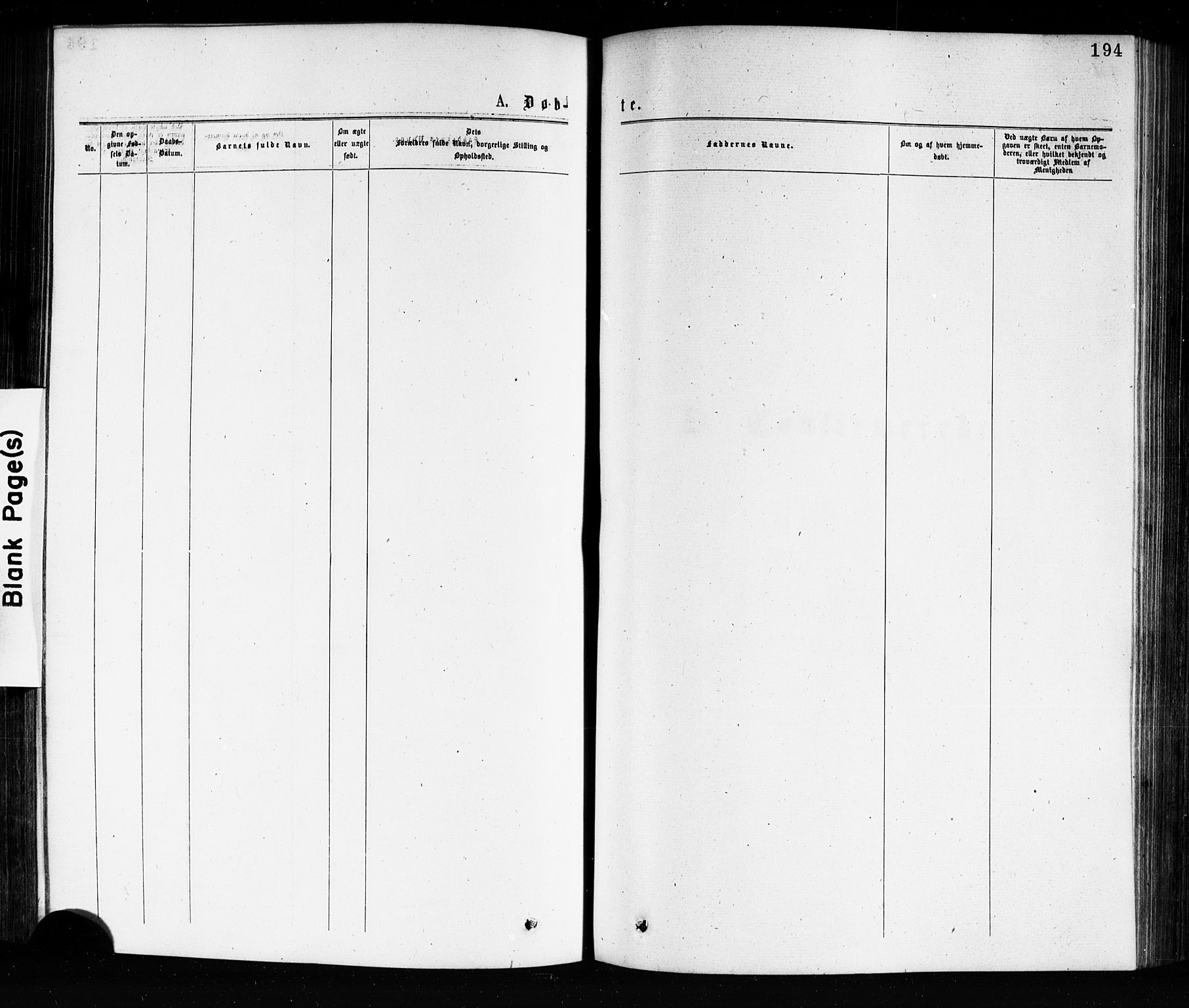 Porsgrunn kirkebøker , SAKO/A-104/G/Ga/L0003: Parish register (copy) no. I 3, 1877-1915, p. 194