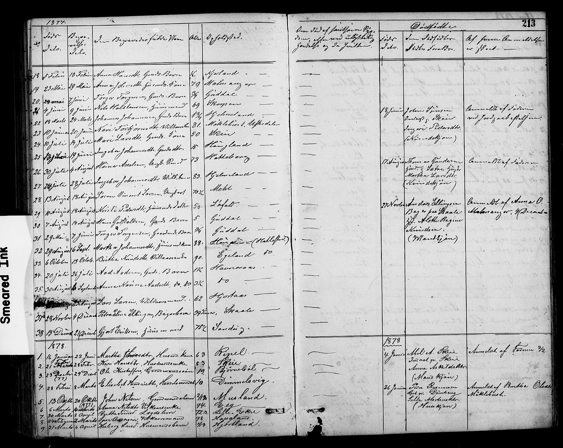 Kvinnherad sokneprestembete, AV/SAB-A-76401/H/Hab: Parish register (copy) no. A 2, 1873-1900, p. 213