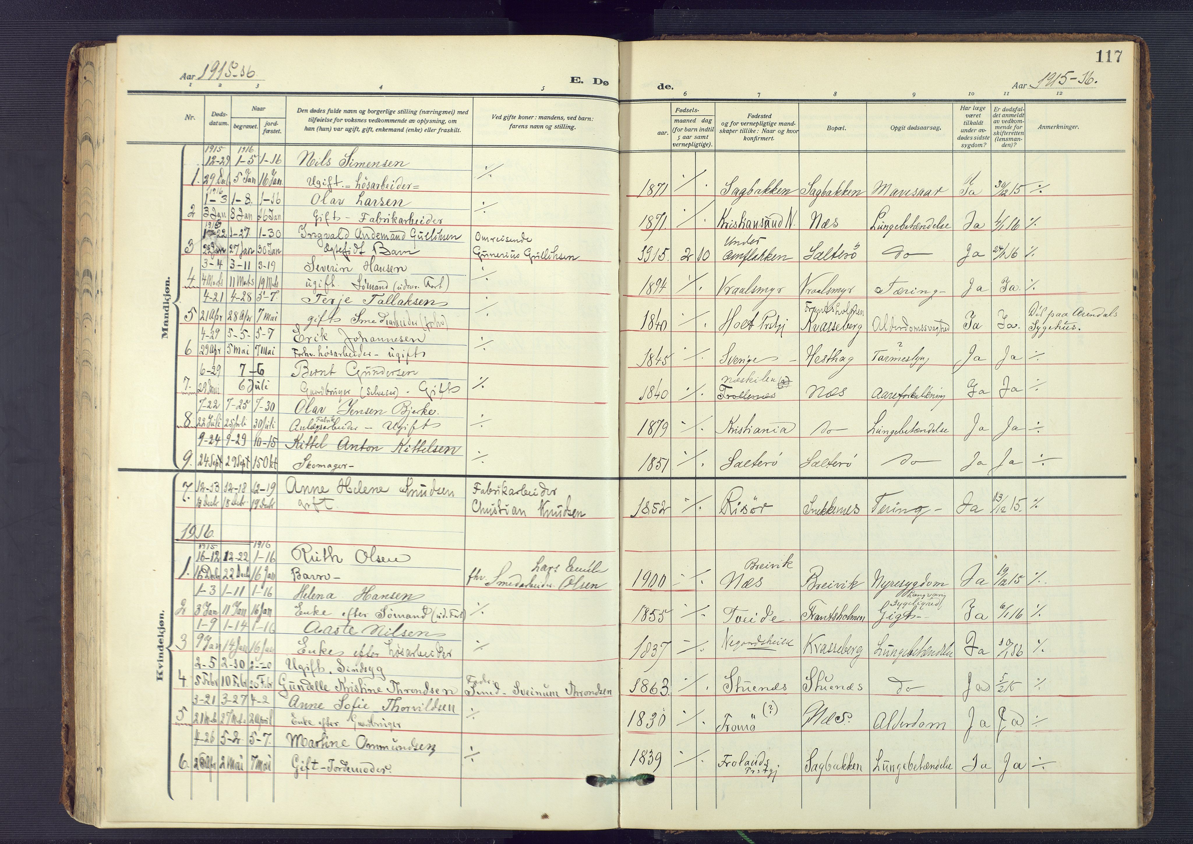 Austre Moland sokneprestkontor, SAK/1111-0001/F/Fa/Fab/L0003: Parish register (official) no. A 3, 1914-1927, p. 117