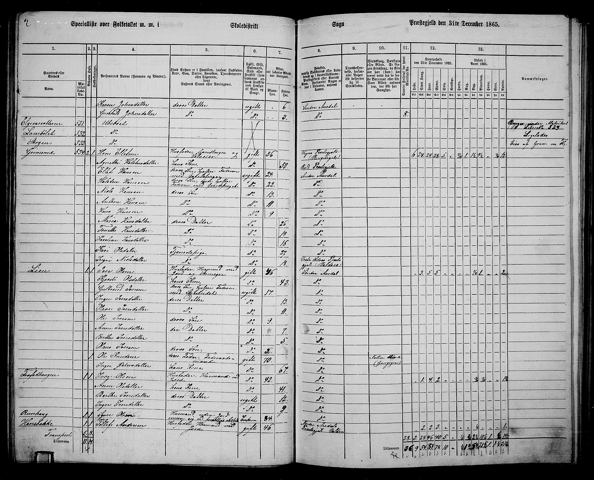 RA, 1865 census for Sør-Aurdal, 1865, p. 123