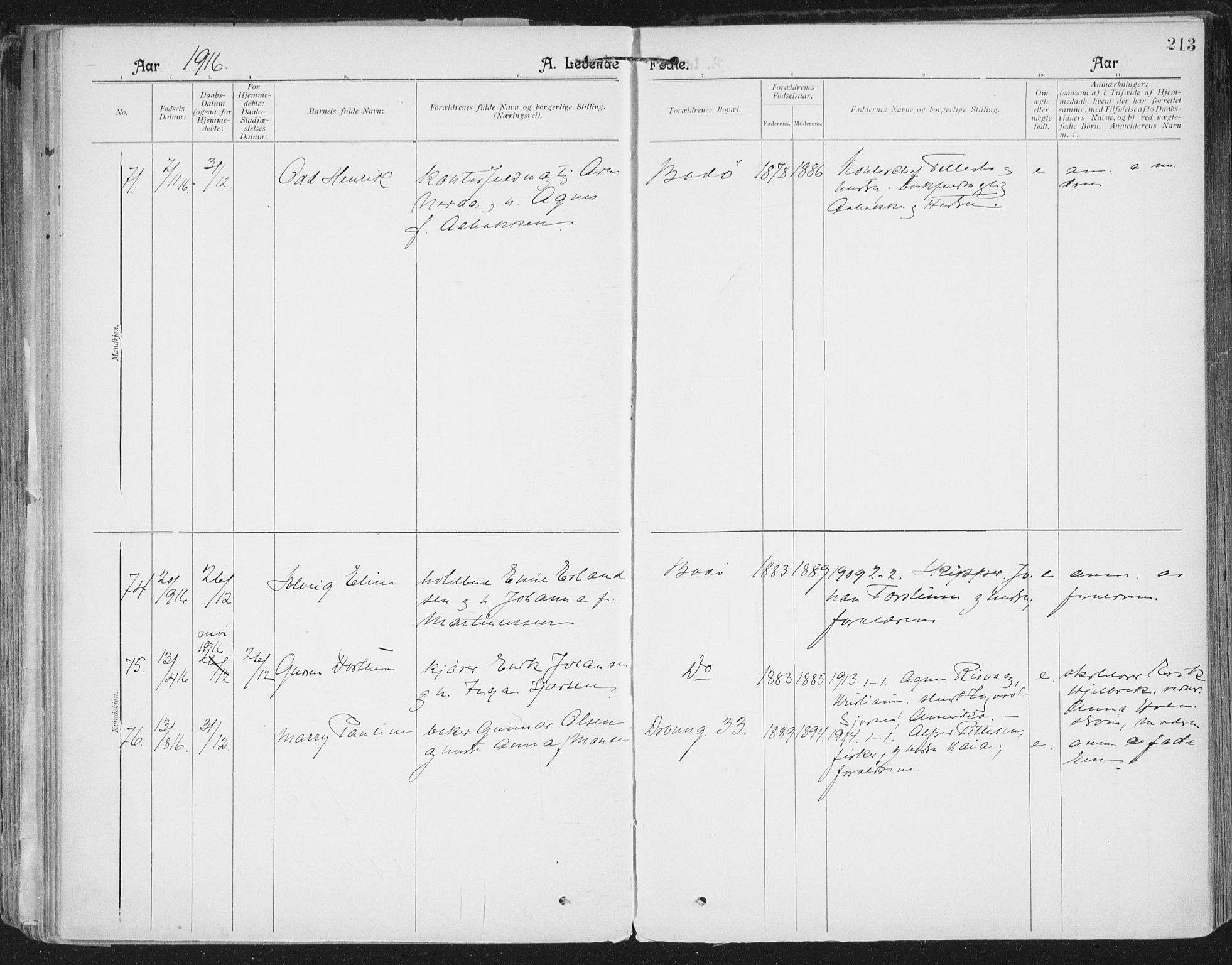 Ministerialprotokoller, klokkerbøker og fødselsregistre - Nordland, AV/SAT-A-1459/801/L0011: Parish register (official) no. 801A11, 1900-1916, p. 213