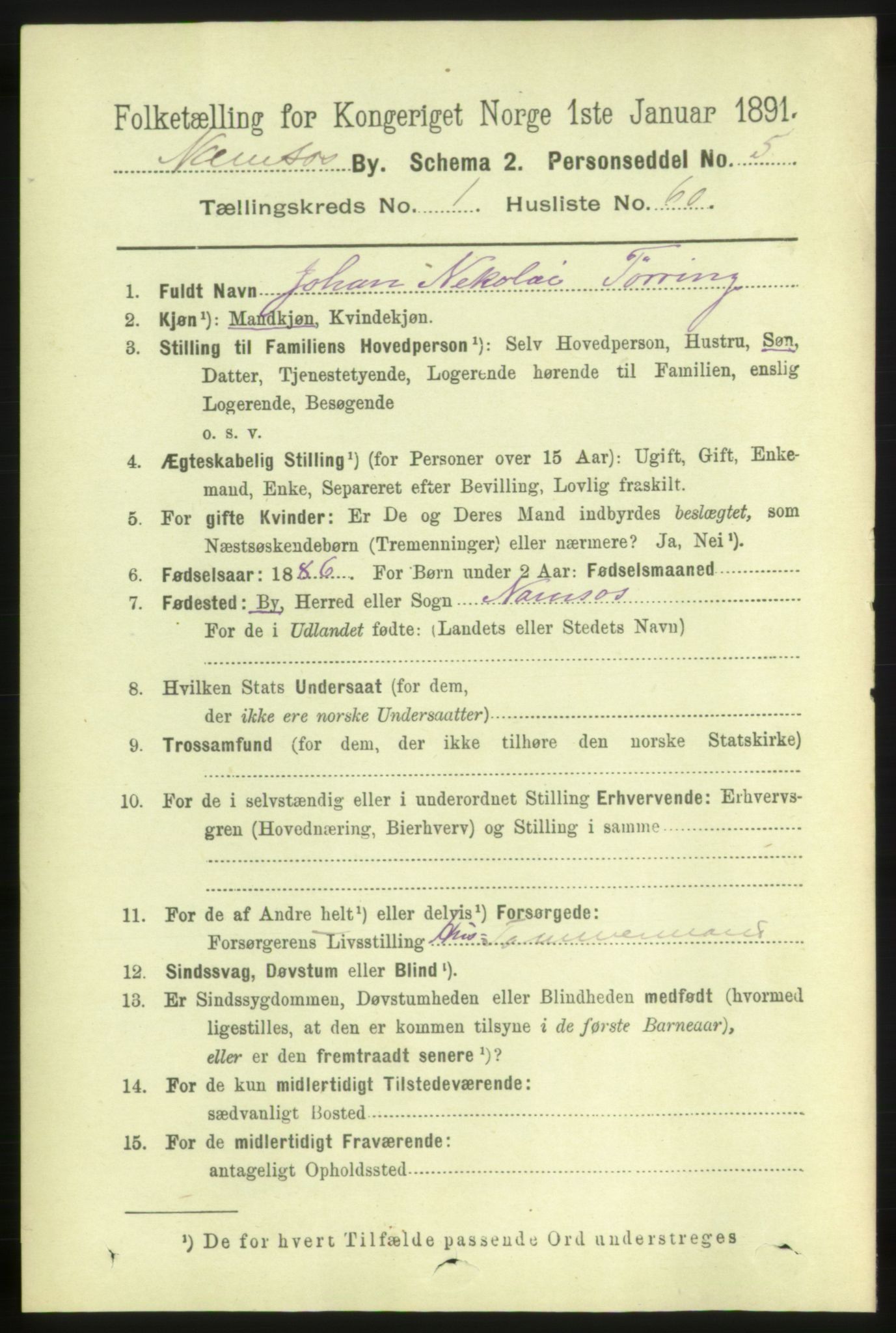 RA, 1891 census for 1703 Namsos, 1891, p. 502