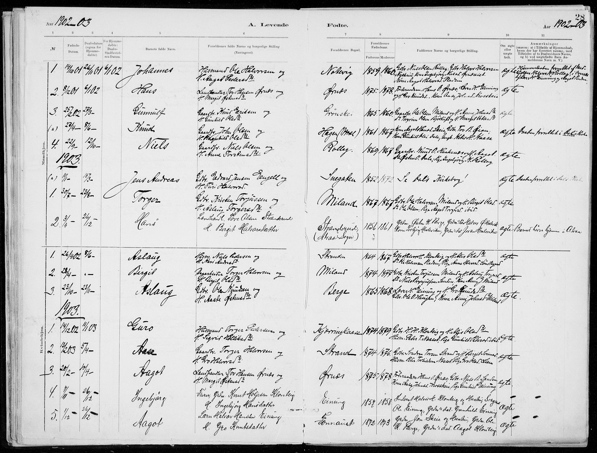 Tinn kirkebøker, AV/SAKO-A-308/F/Fb/L0002: Parish register (official) no. II 2, 1878-1917, p. 28