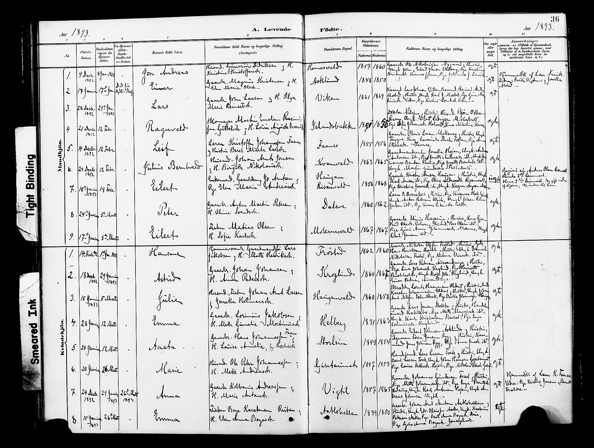 Ministerialprotokoller, klokkerbøker og fødselsregistre - Nord-Trøndelag, AV/SAT-A-1458/713/L0121: Parish register (official) no. 713A10, 1888-1898, p. 36