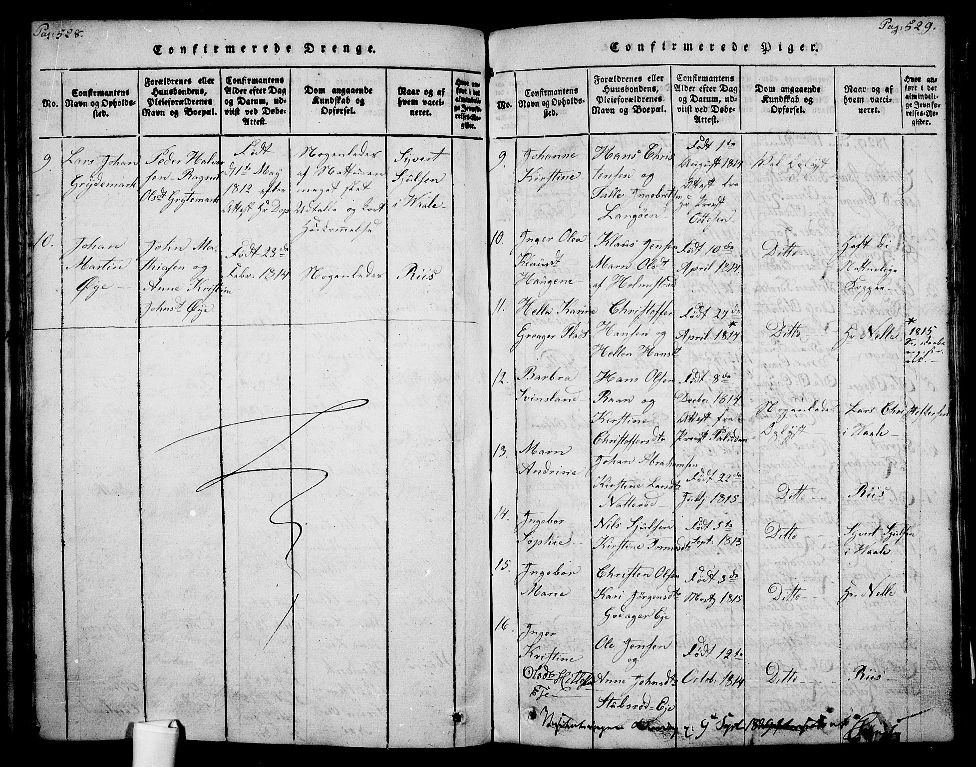 Botne kirkebøker, AV/SAKO-A-340/F/Fa/L0005: Parish register (official) no. I 5, 1814-1836, p. 528-529